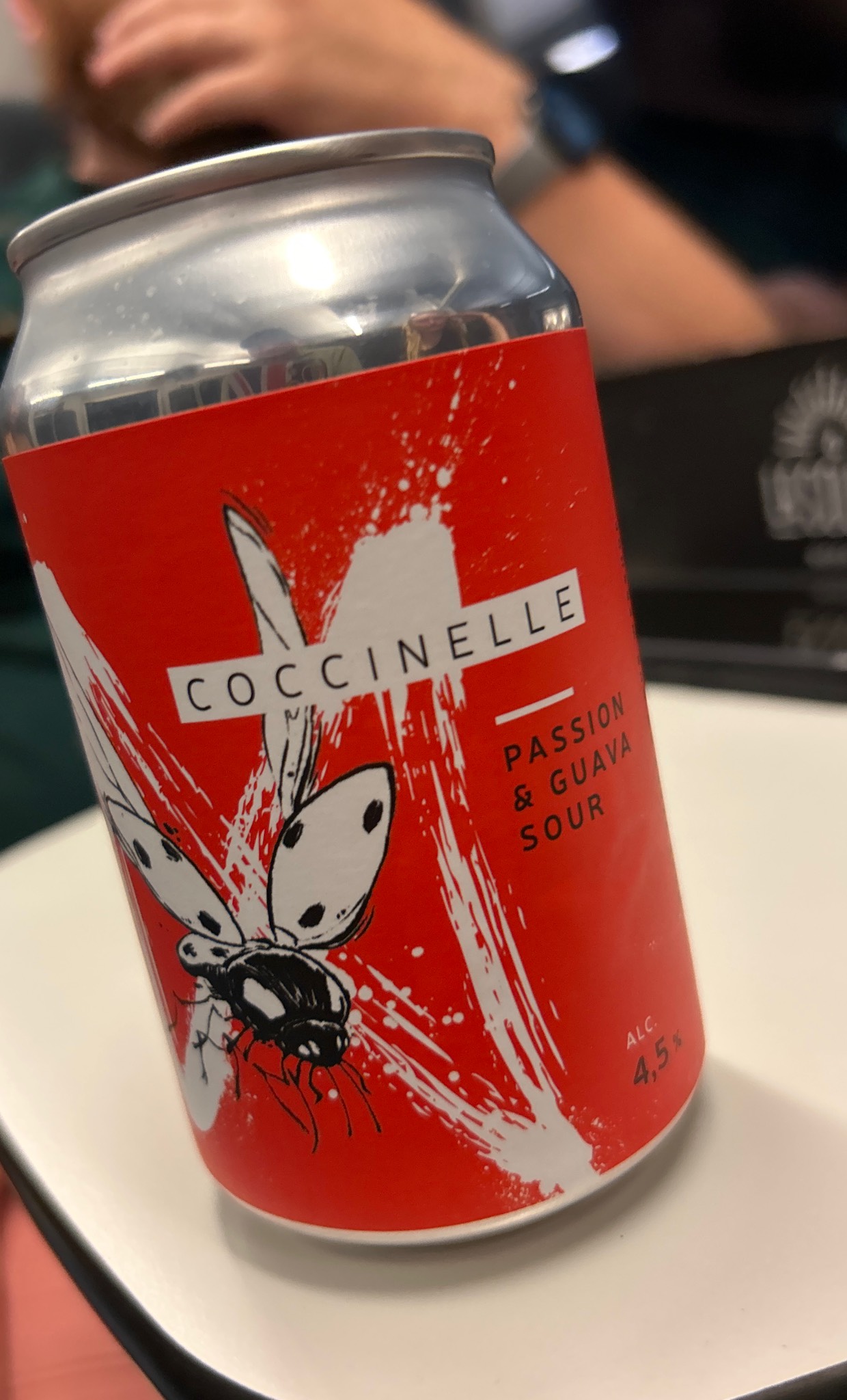 Coccinelle, Belgium