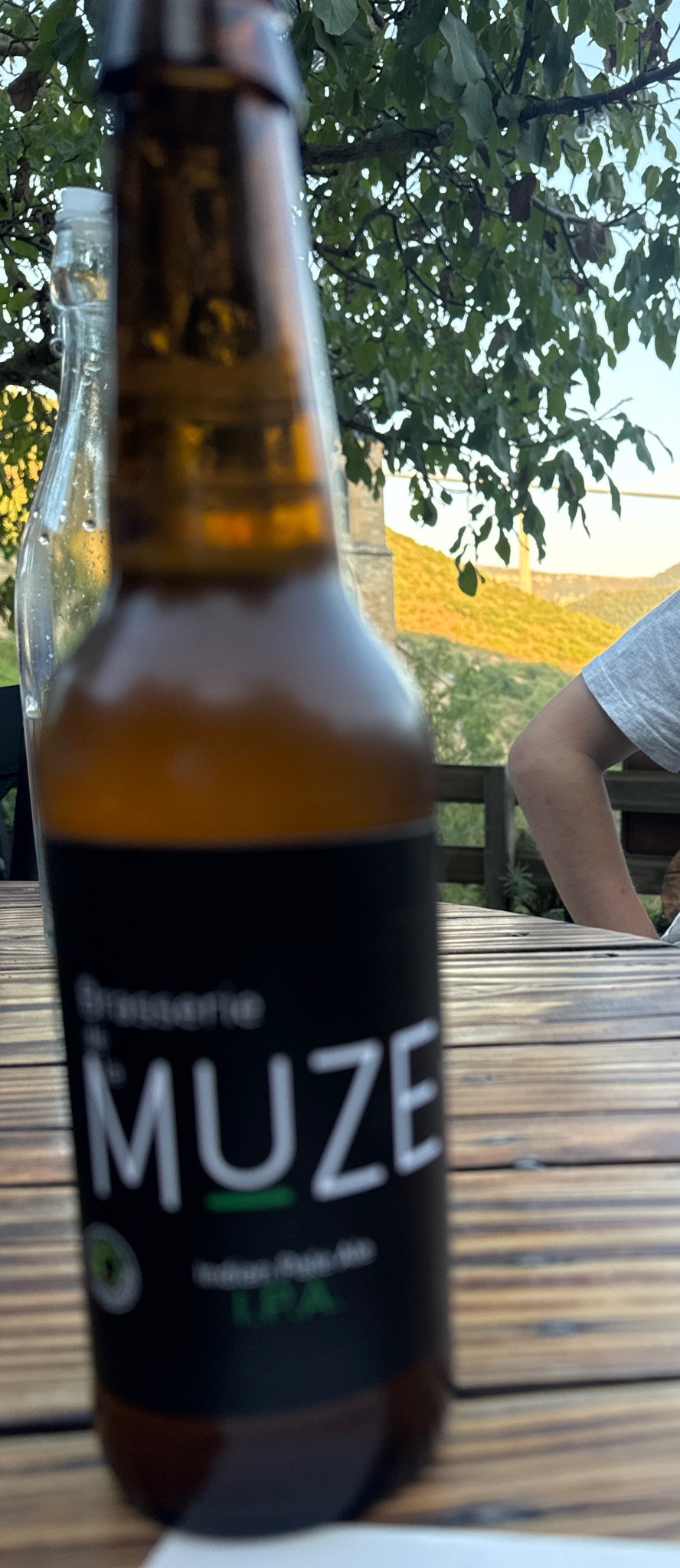 Muze IPA, Brasserie De La Muze