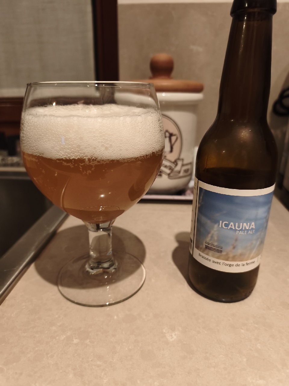 Icauna, France