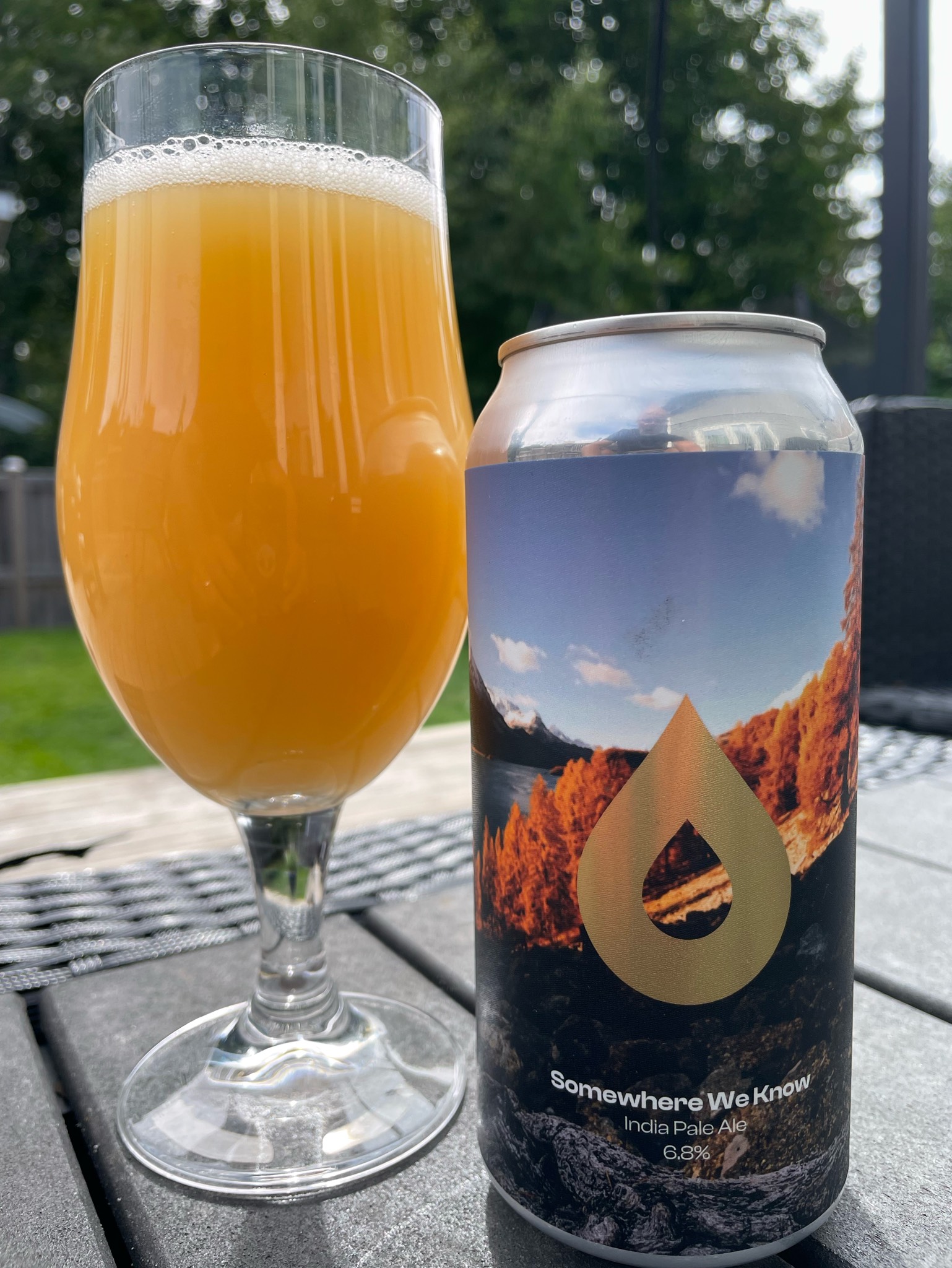 Somewhere We Know, Polly's Brew Co.