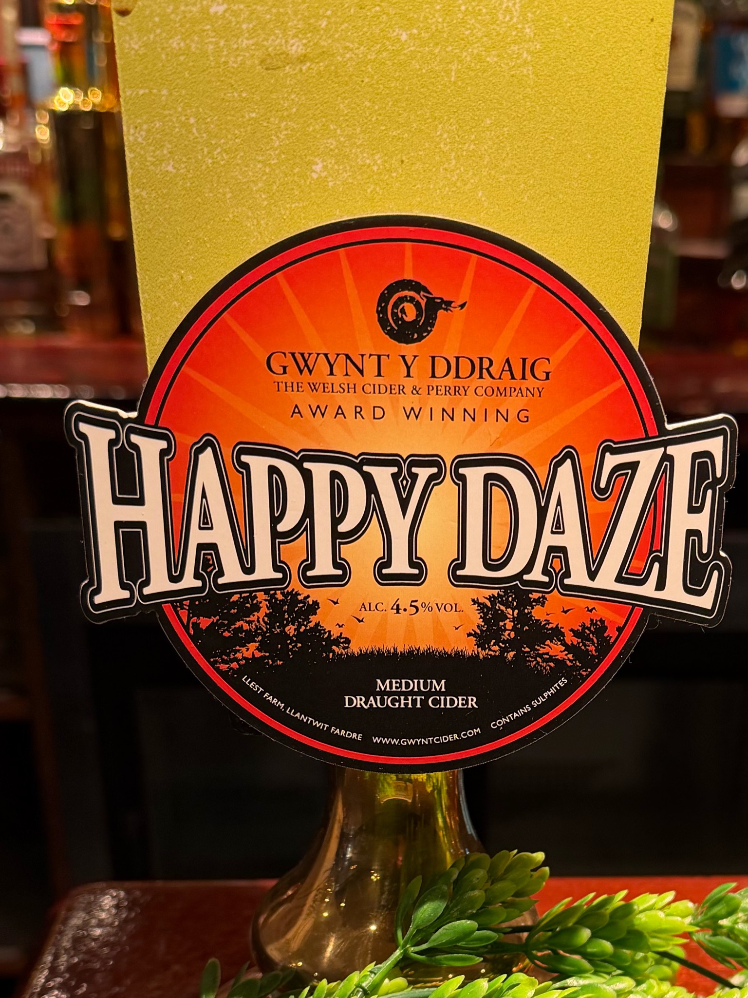 Happy Daze, Gwynt Y Ddraig