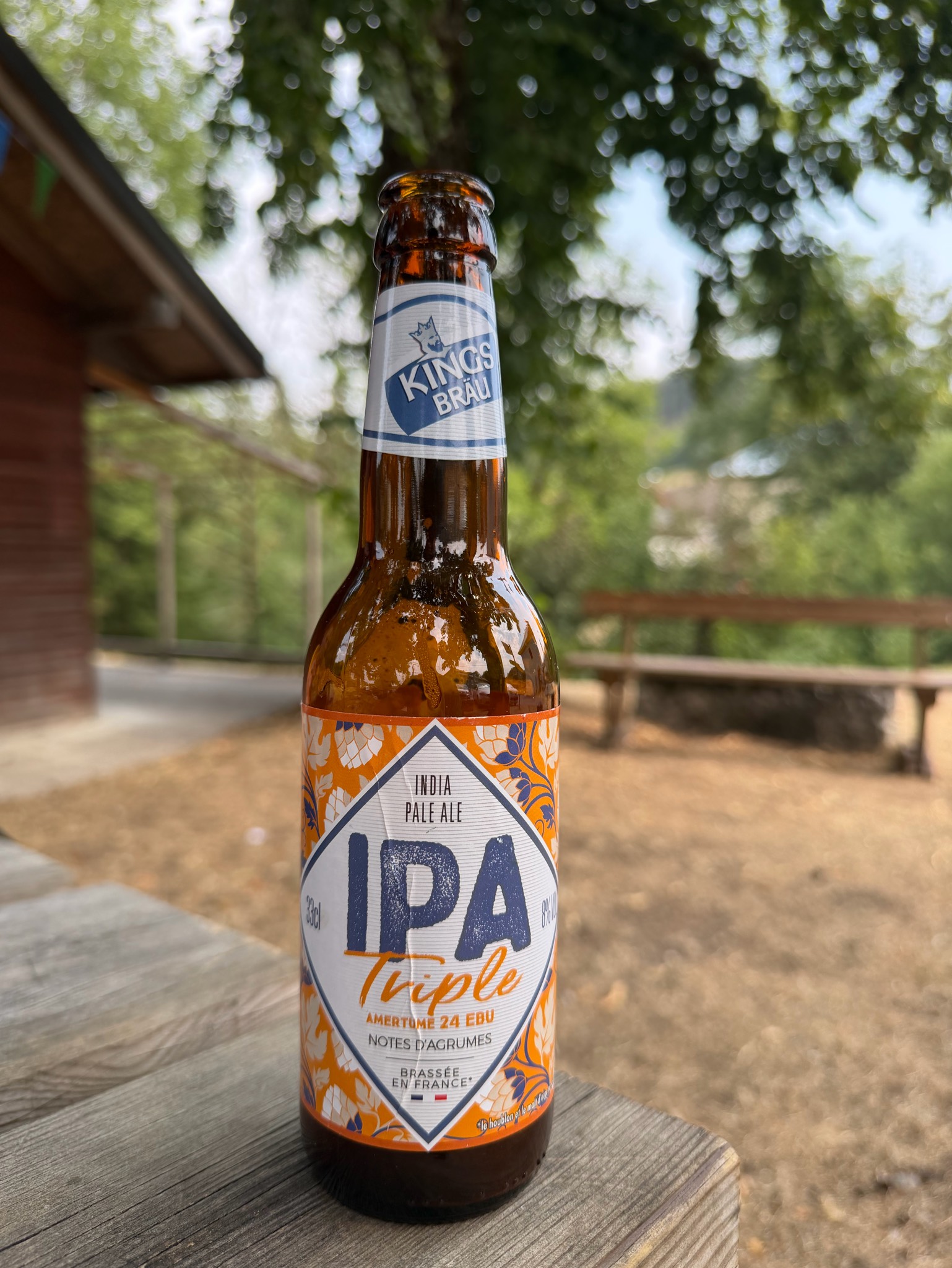 Kingsbräu IPA Triple, France