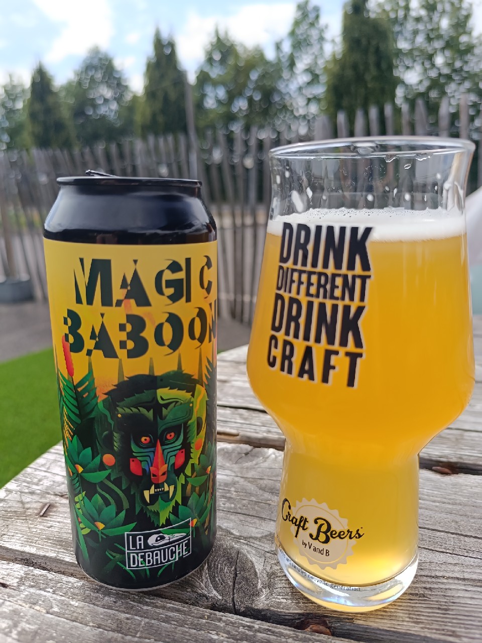 Magic Baboon, France