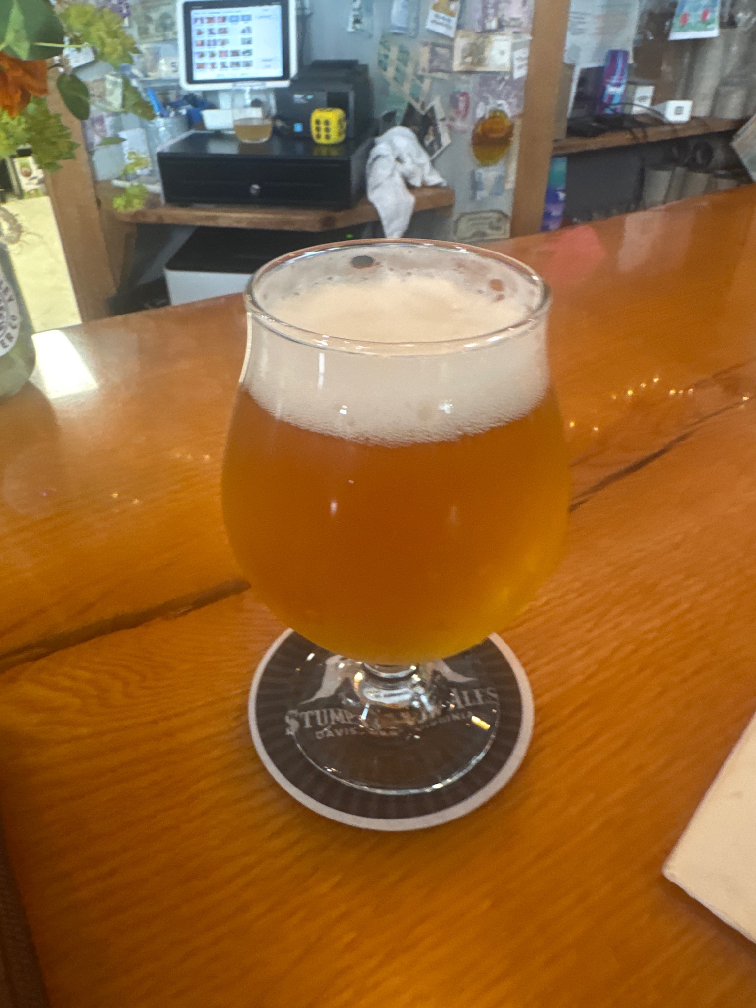 Stump kolsch, Stumptown Brewery