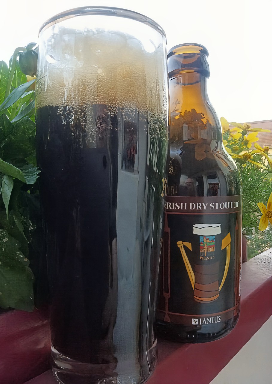 lanius irish dry stout, Lanius