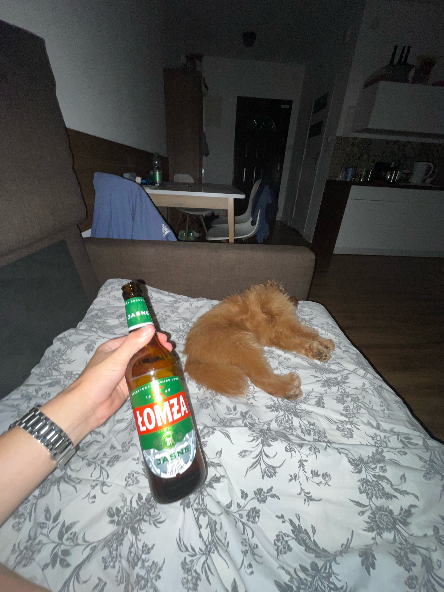 Łomza Jasne, Poland