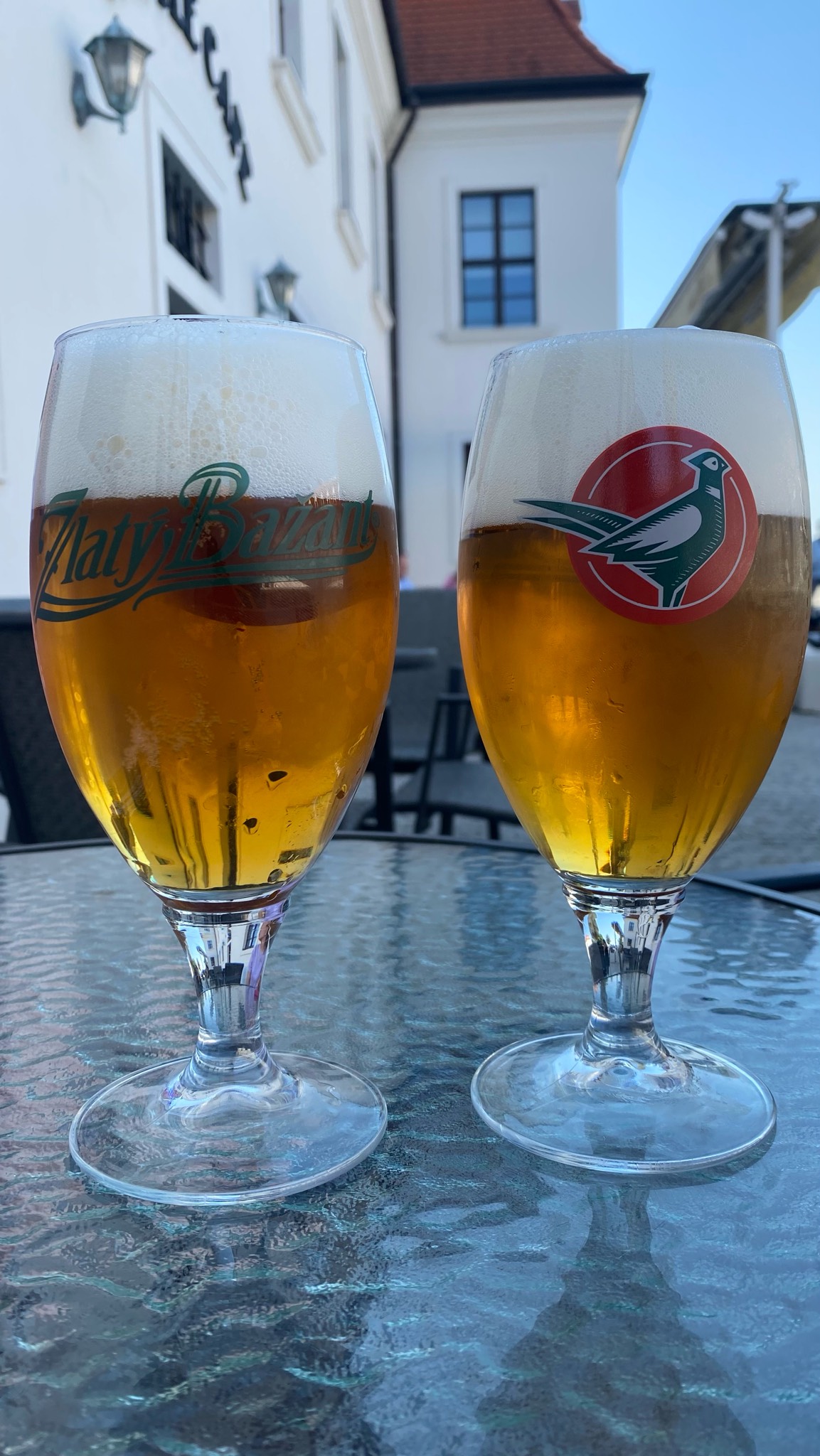 Zlatý Bažant 12% / Ležák / Prémiový Ležák / Lager, Slovakia