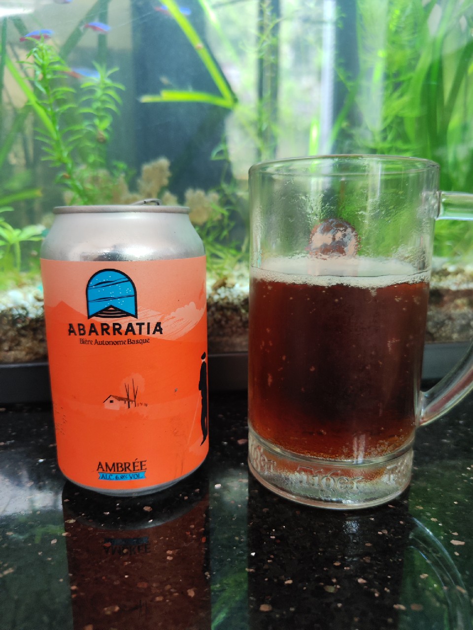 Abarratia Ambrée, Abarratia