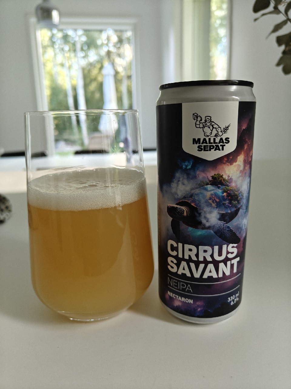 Cirrus Savant, Finland