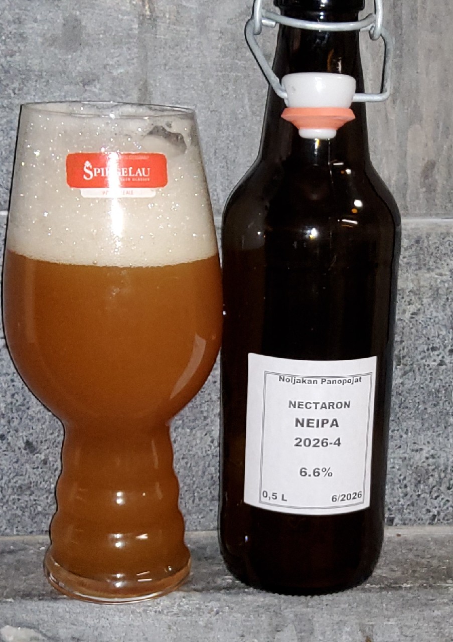 nectaron neipa 2026-4, Noljakan Panopojat