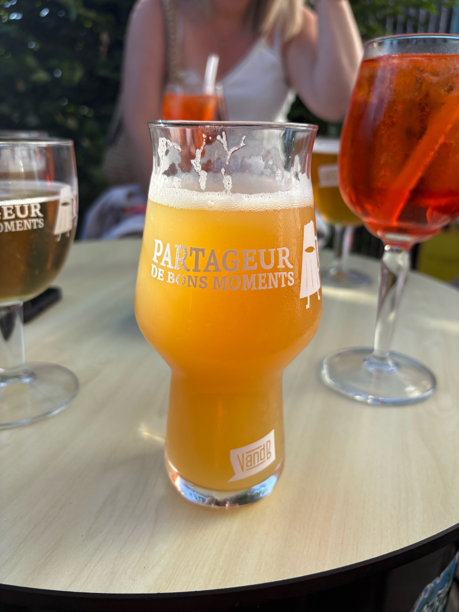big mountain neipa reves gelés, France