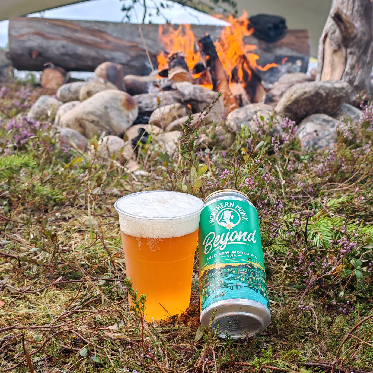Beyond // Bold New World IPA, England