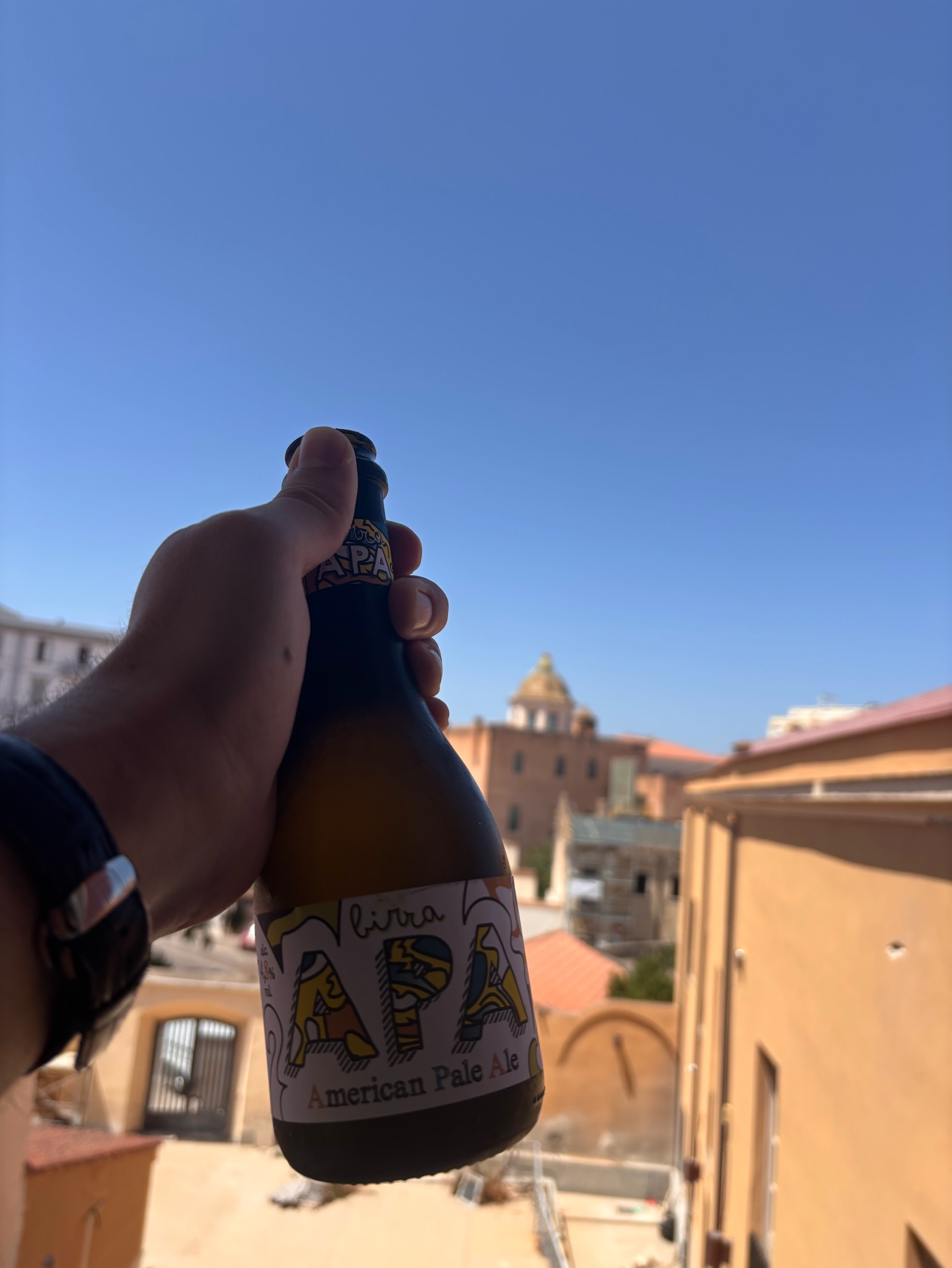 Birra APA artigianale, Italy