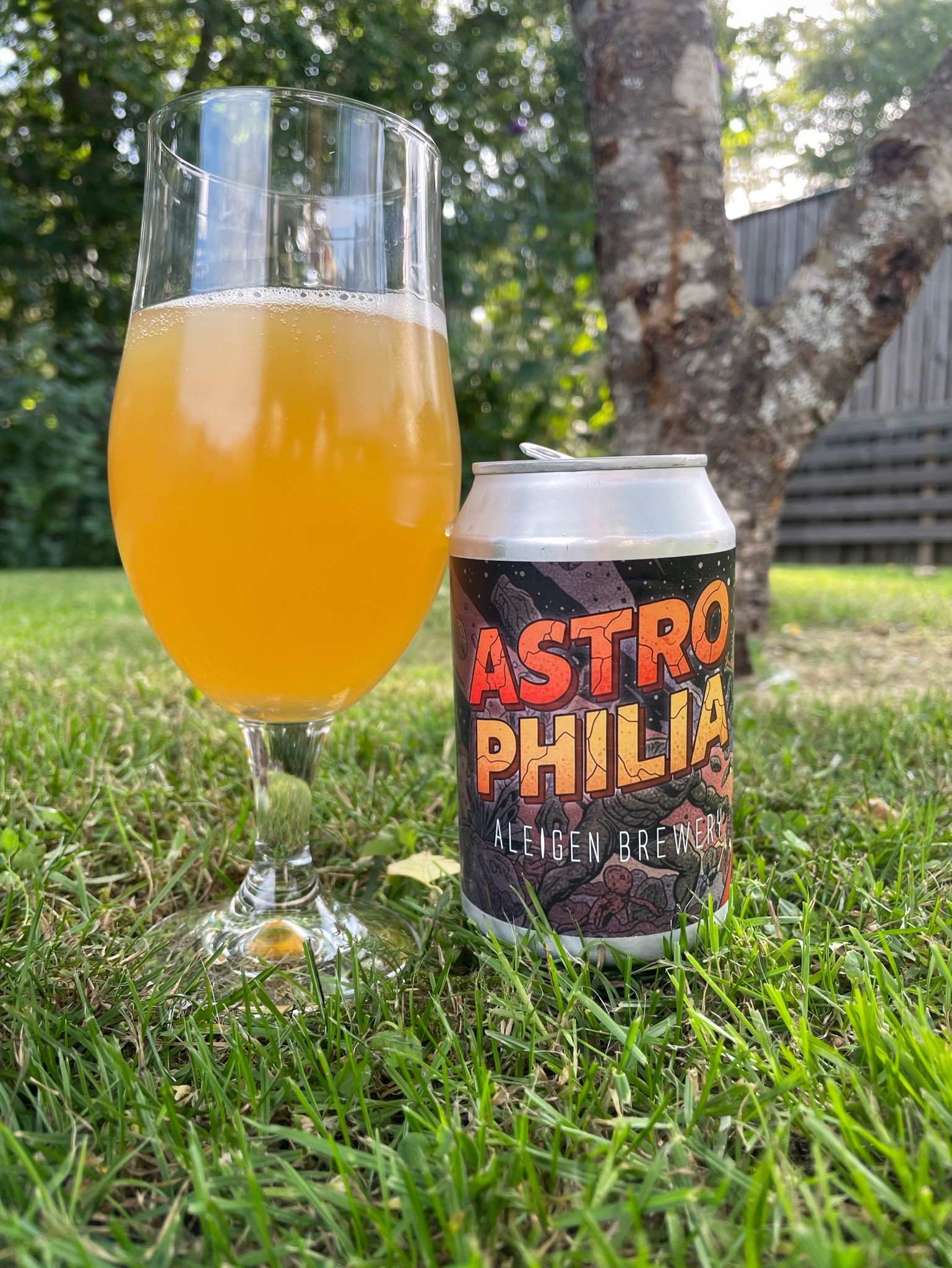 Astrophilia, En Aleigen Brewery