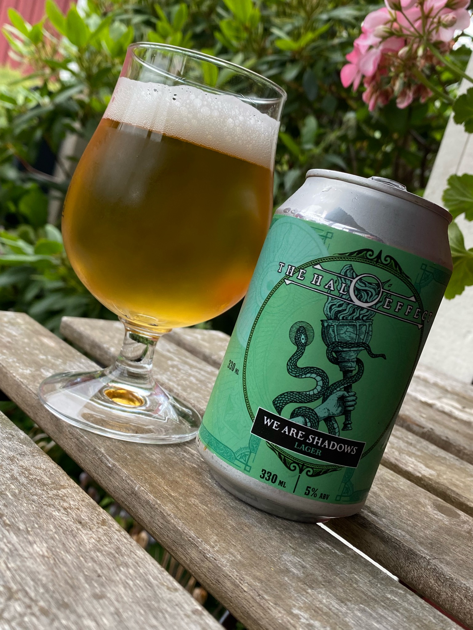 The Halo Effect, Odd Island Brewing