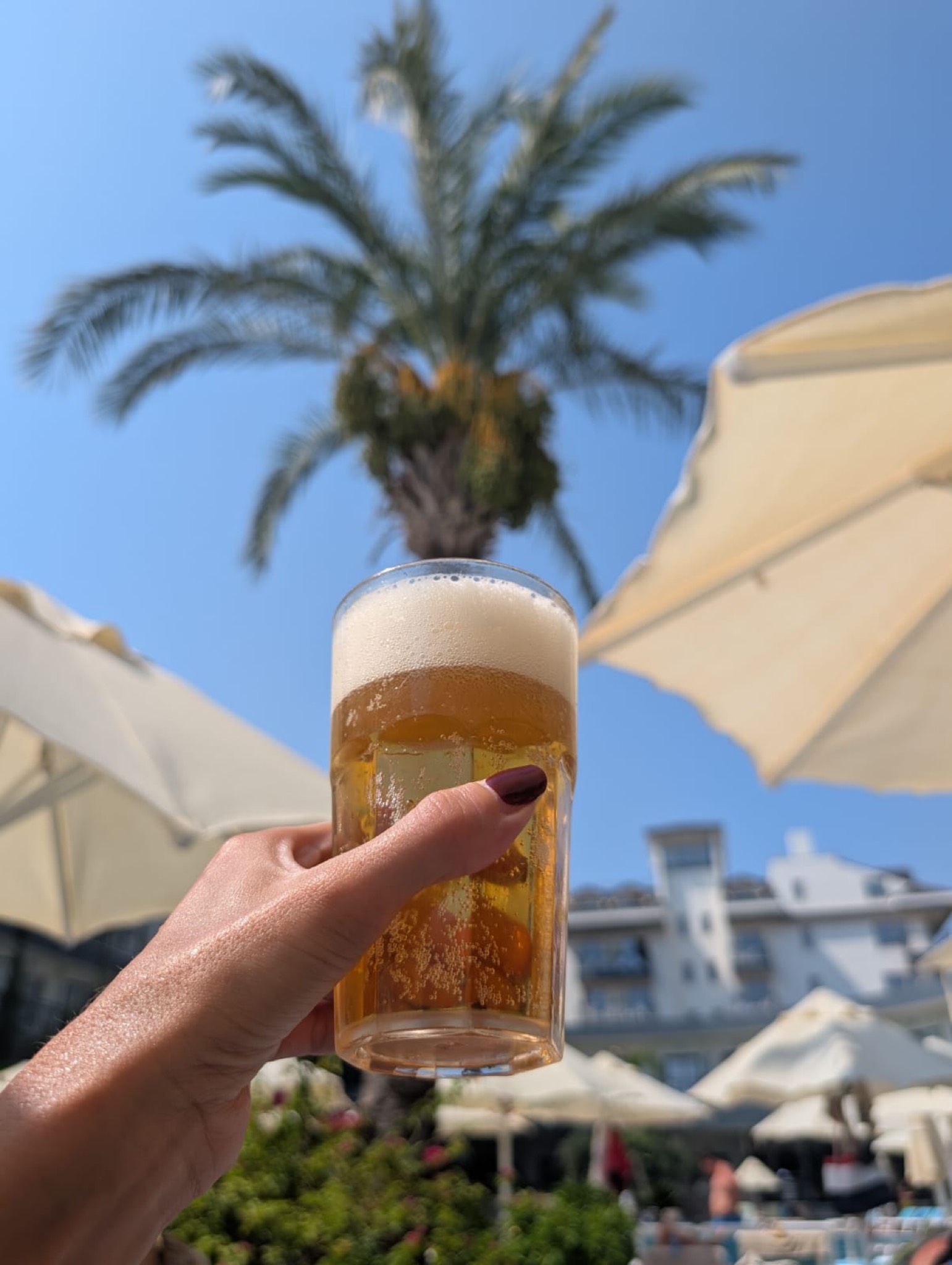 Troy Pilsner Premium Beer, Turkey