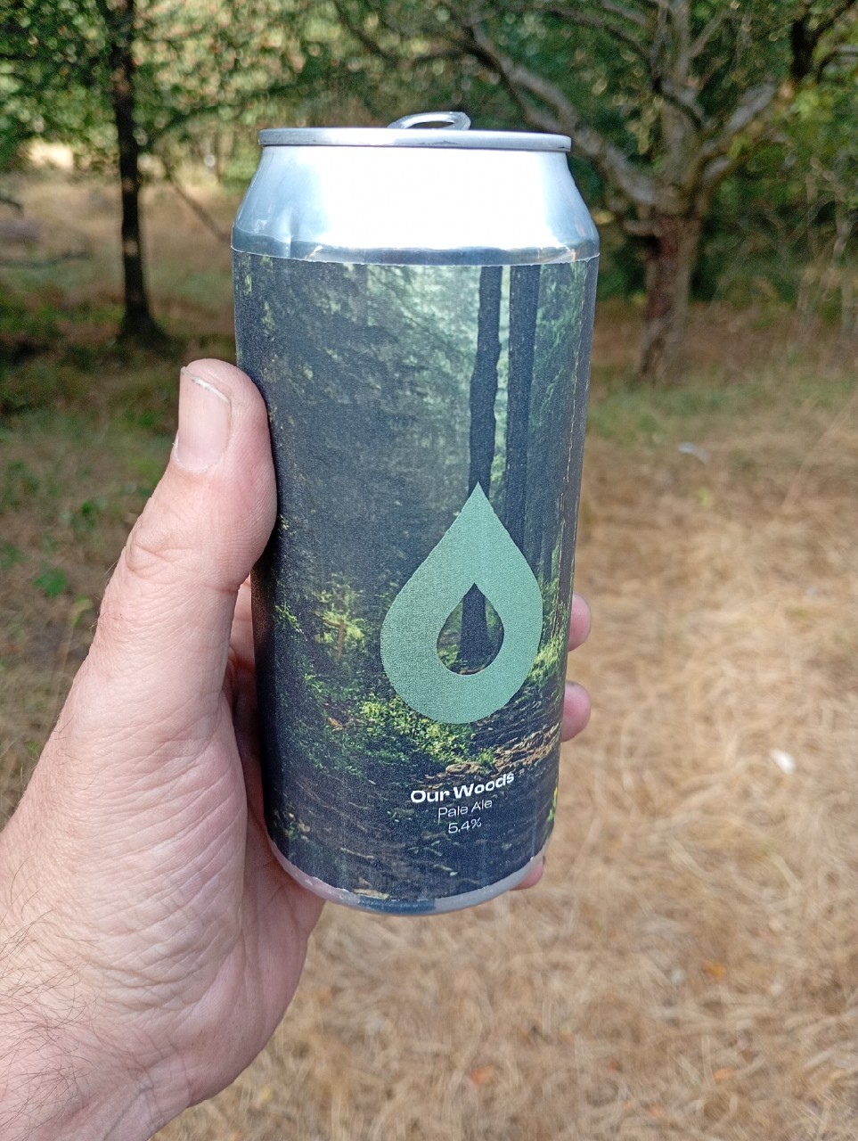 Our Woods, Polly's Brew Co.