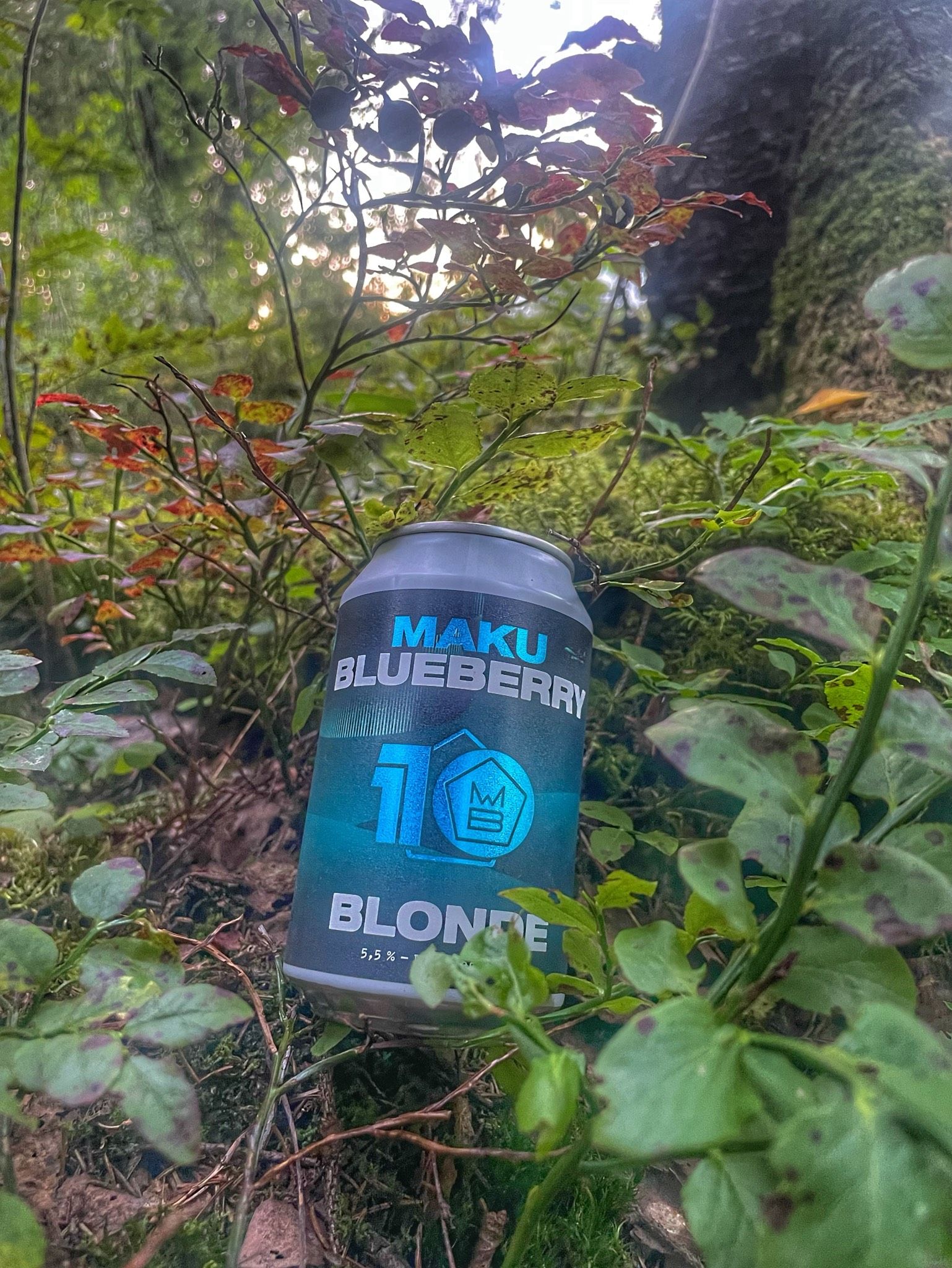 Blueberry Blonde, Finland