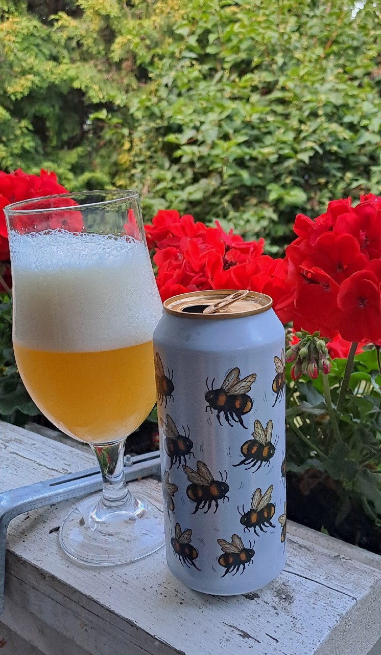 Golden buzz, Fermenterarna