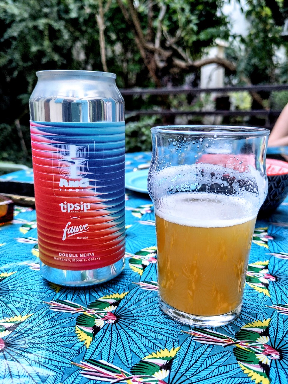 5 Ans Tipsip - Collab Fauve - Double NEIPA, Tipsip Brewing (Ex Tipsy Brewing)