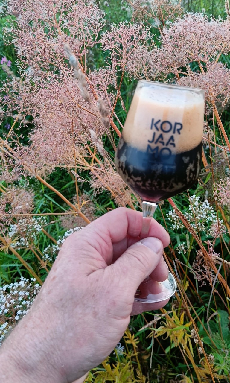 I'm Only Stout, After All (Don't Put The Blame On Me), Teva Brew