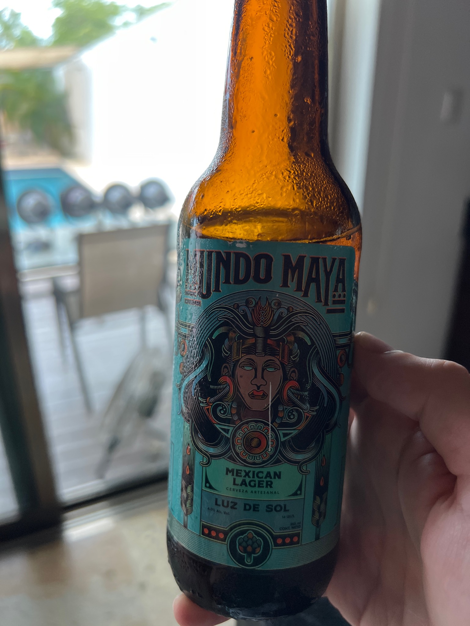 Mundo Maya, Mundo maya