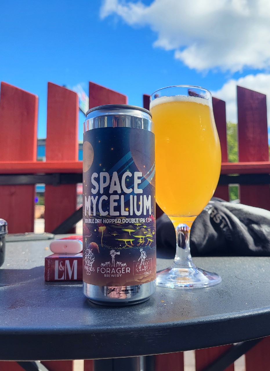 Space Mycelium DDH, Friends Company