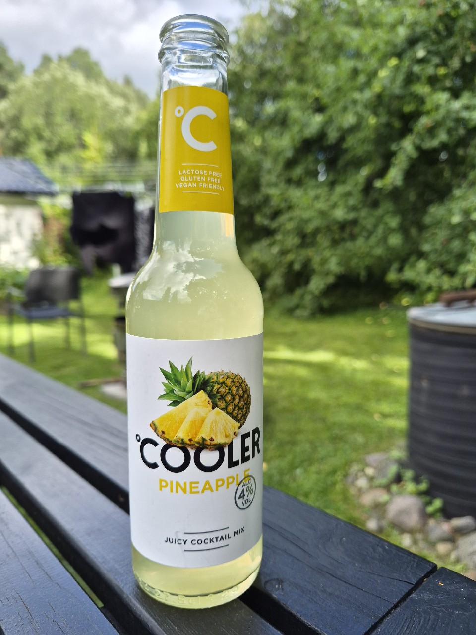 Cooler pineapple, Liviko AS