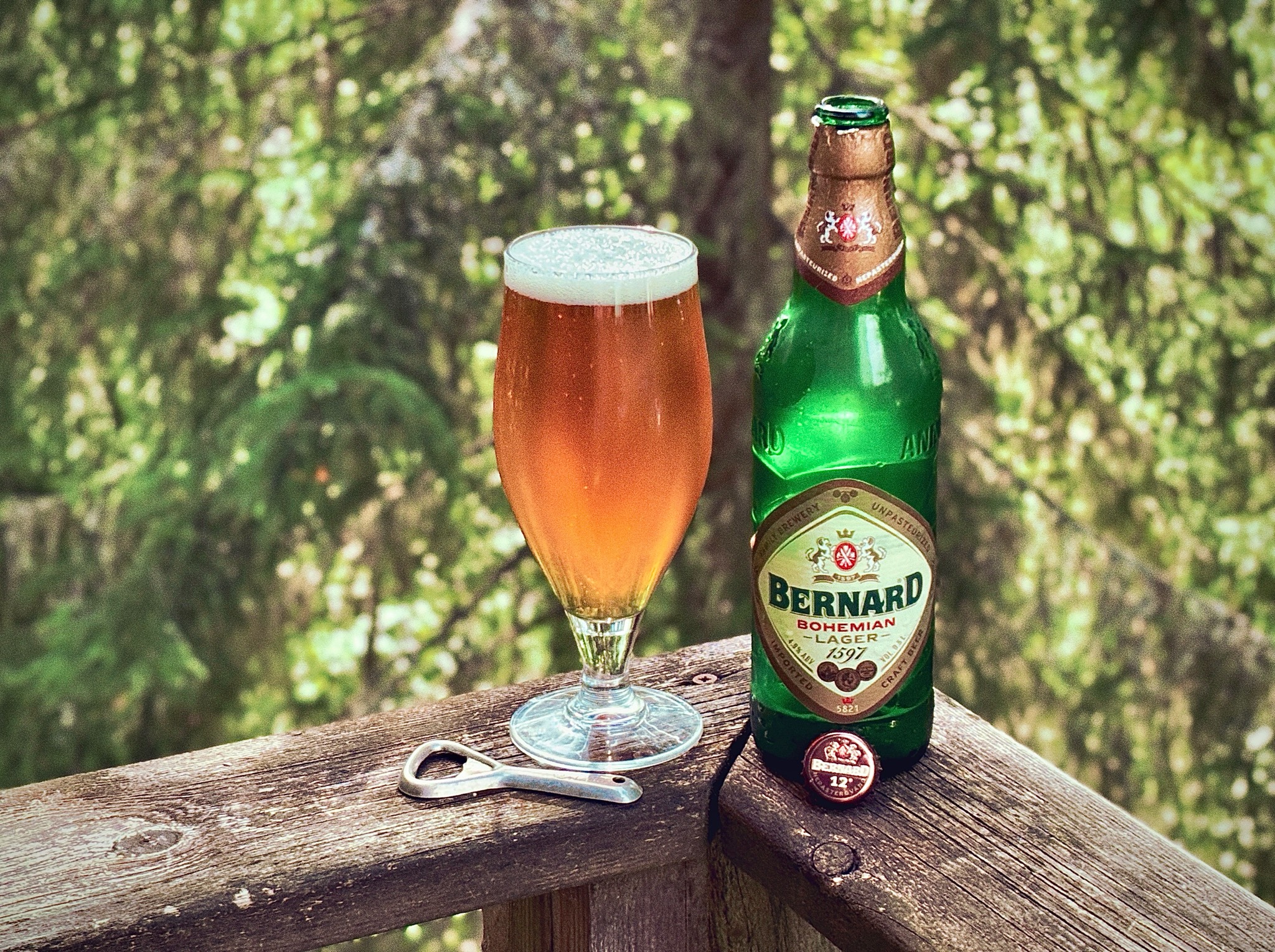 Bernard Bohemian Lager / Světlý Ležák 12°, Czech Republic