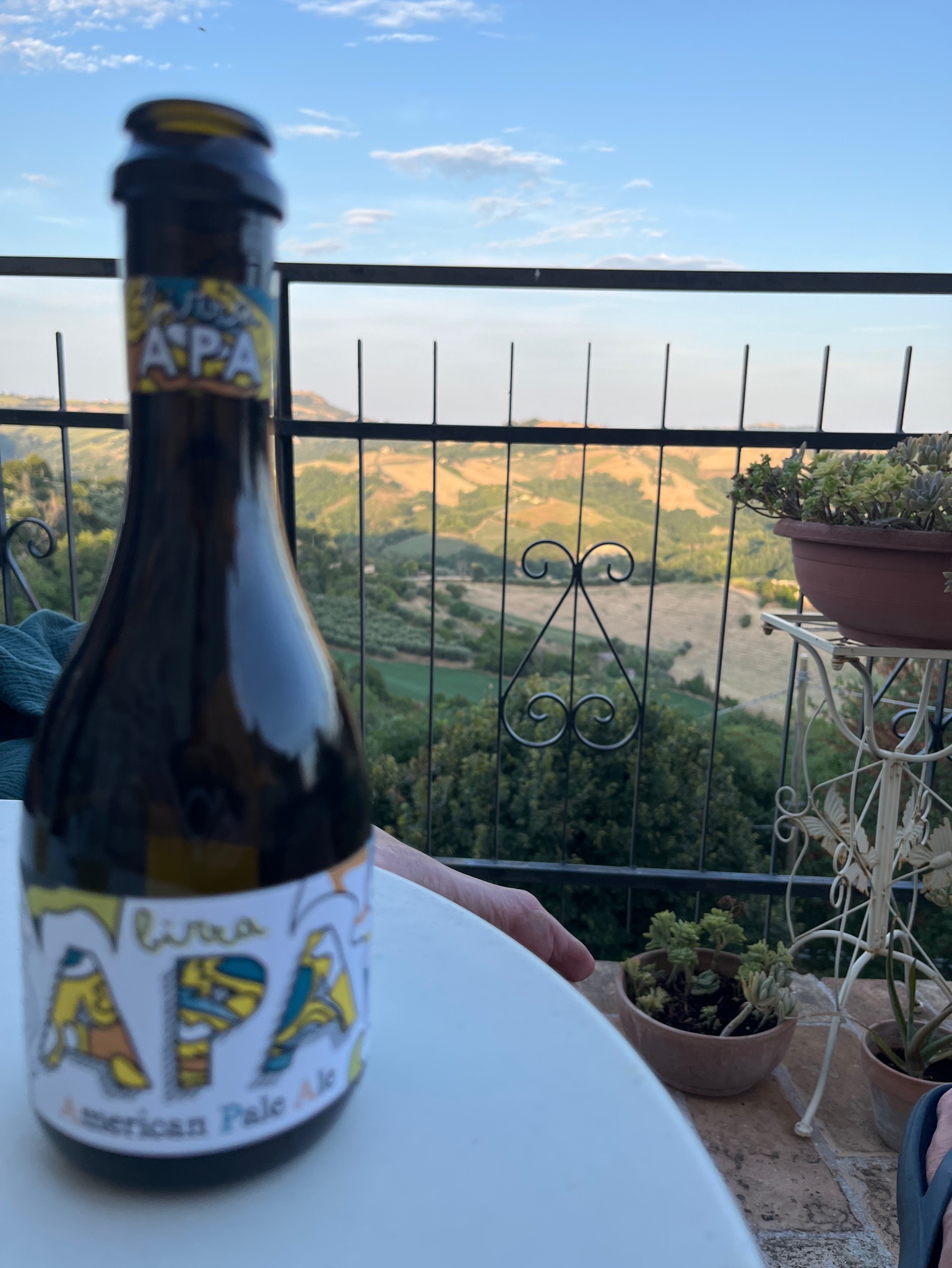 Birra APA artigianale, Italy