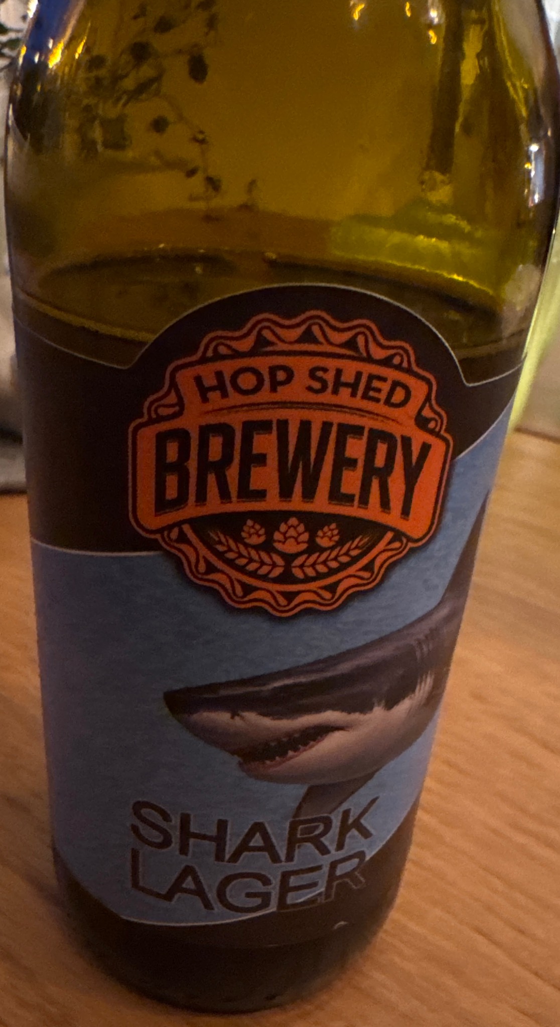 Shark lager, Hop Shed Brewery