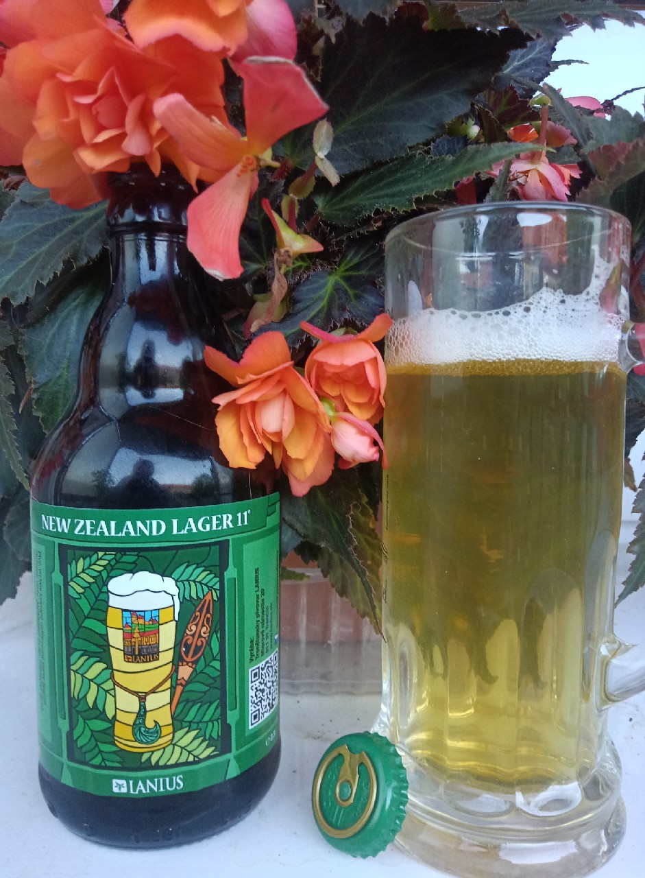 New Zealand Lager 11°, Lanius