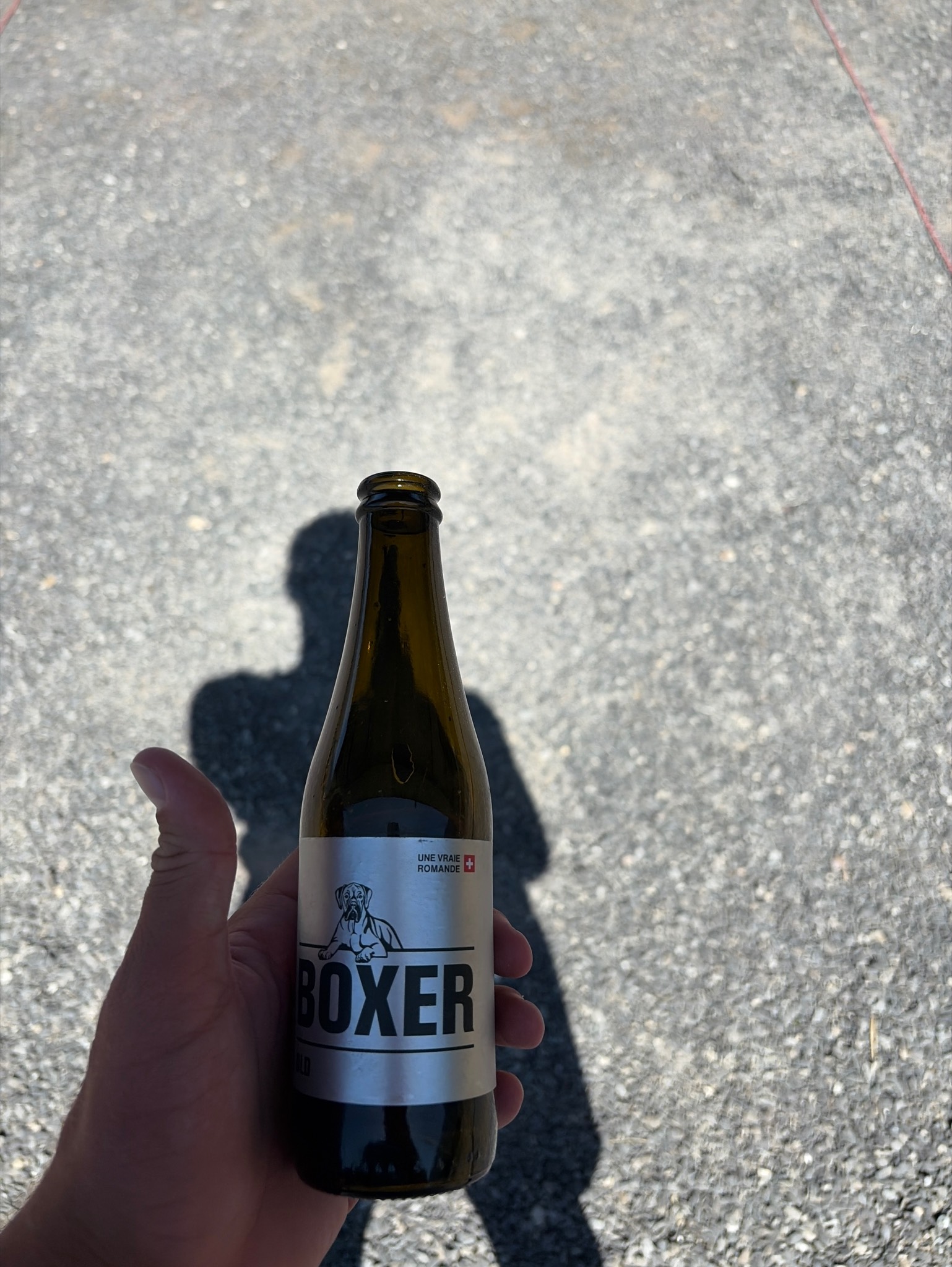 Boxer Old, Switzerland