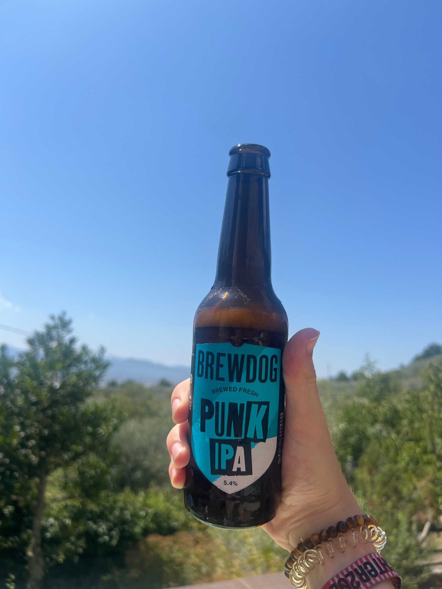Giesinger Punk IPA, Germany