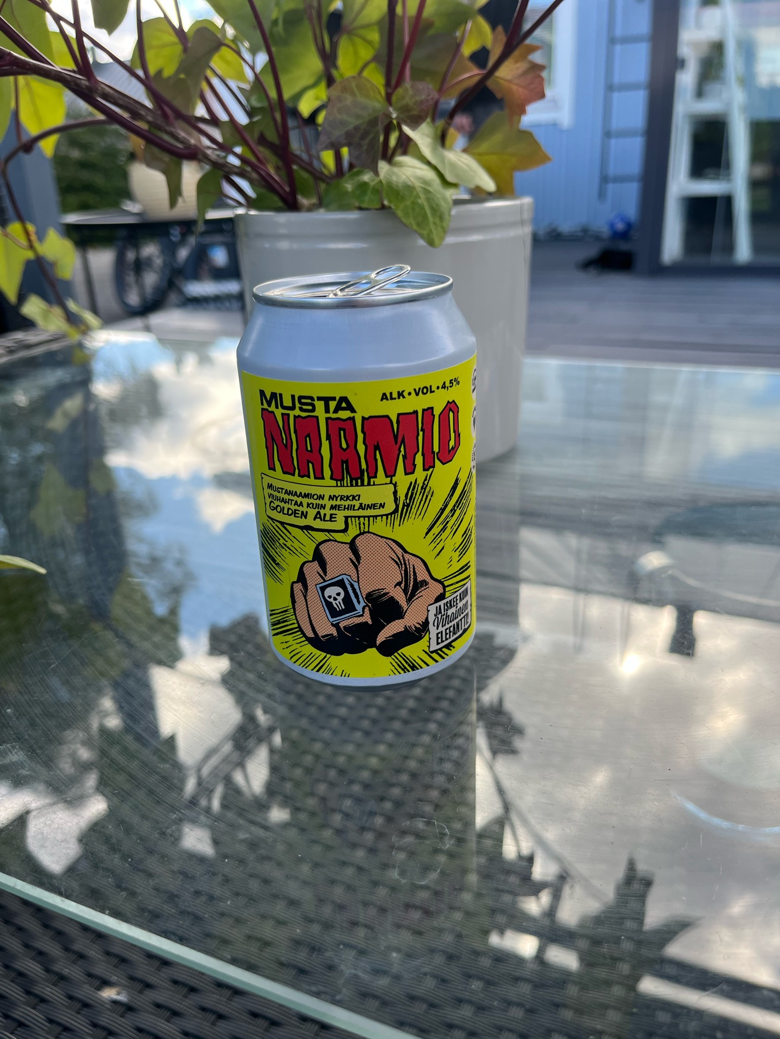 Mustanaamio, Finland