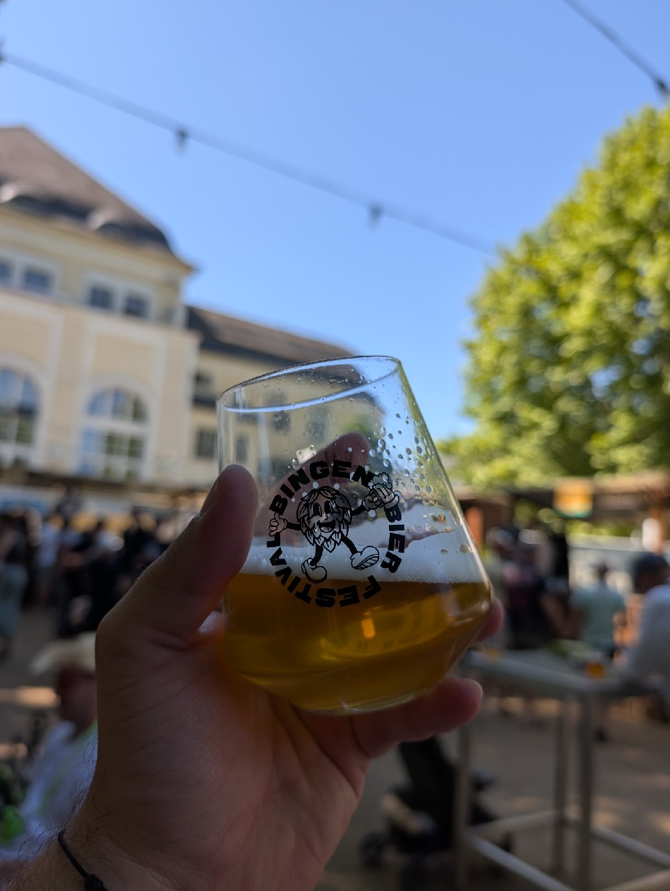 Bienenfresser, Vogelsang
