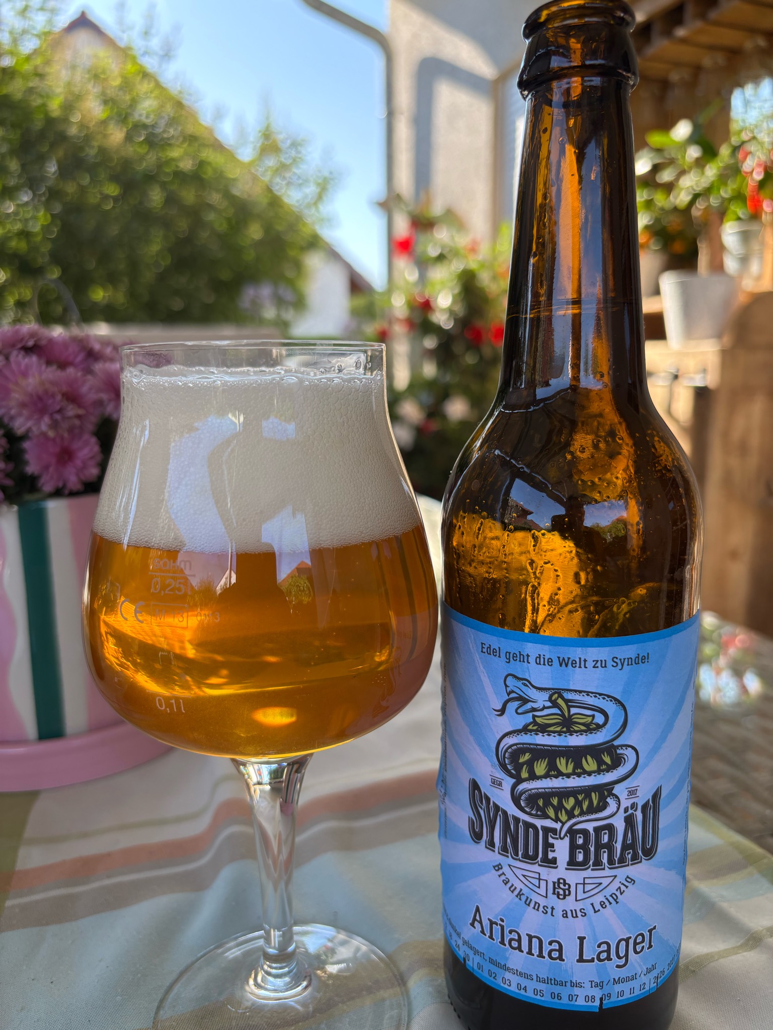 Ariana Lager, Synde Bräu