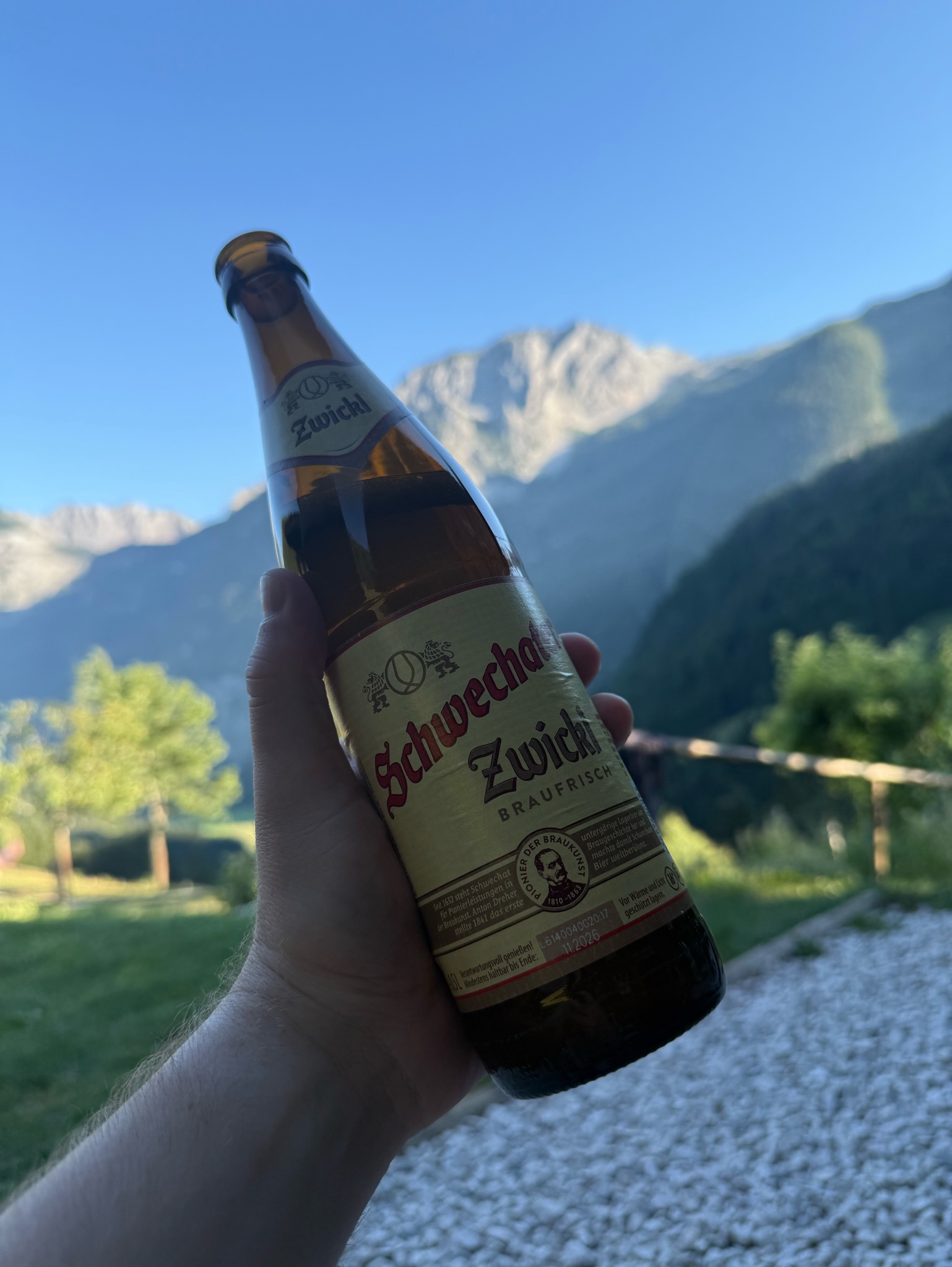 Schwechater Zwickl, Schwechater (Brau Union)