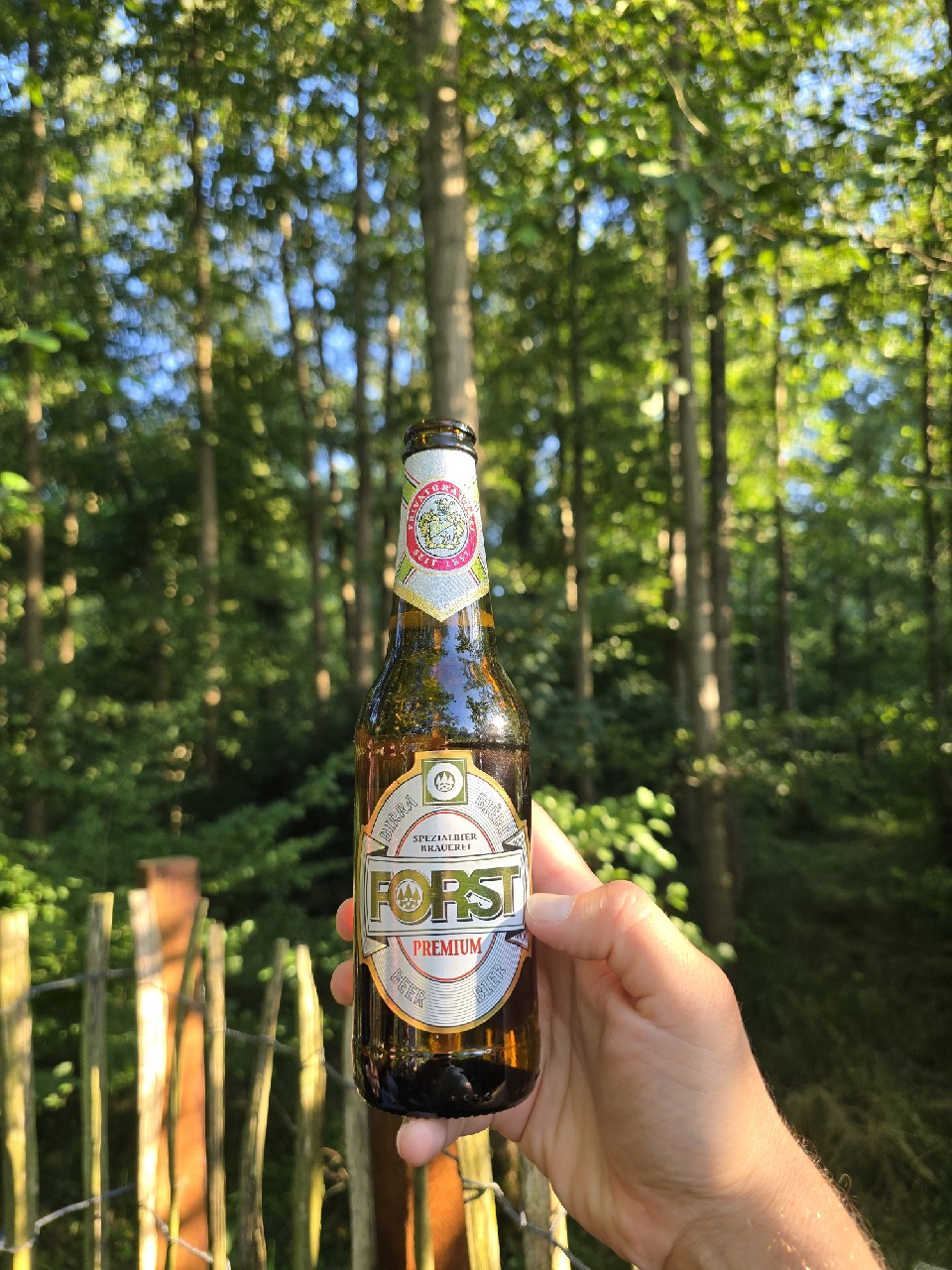 Premium, Birra Forst
