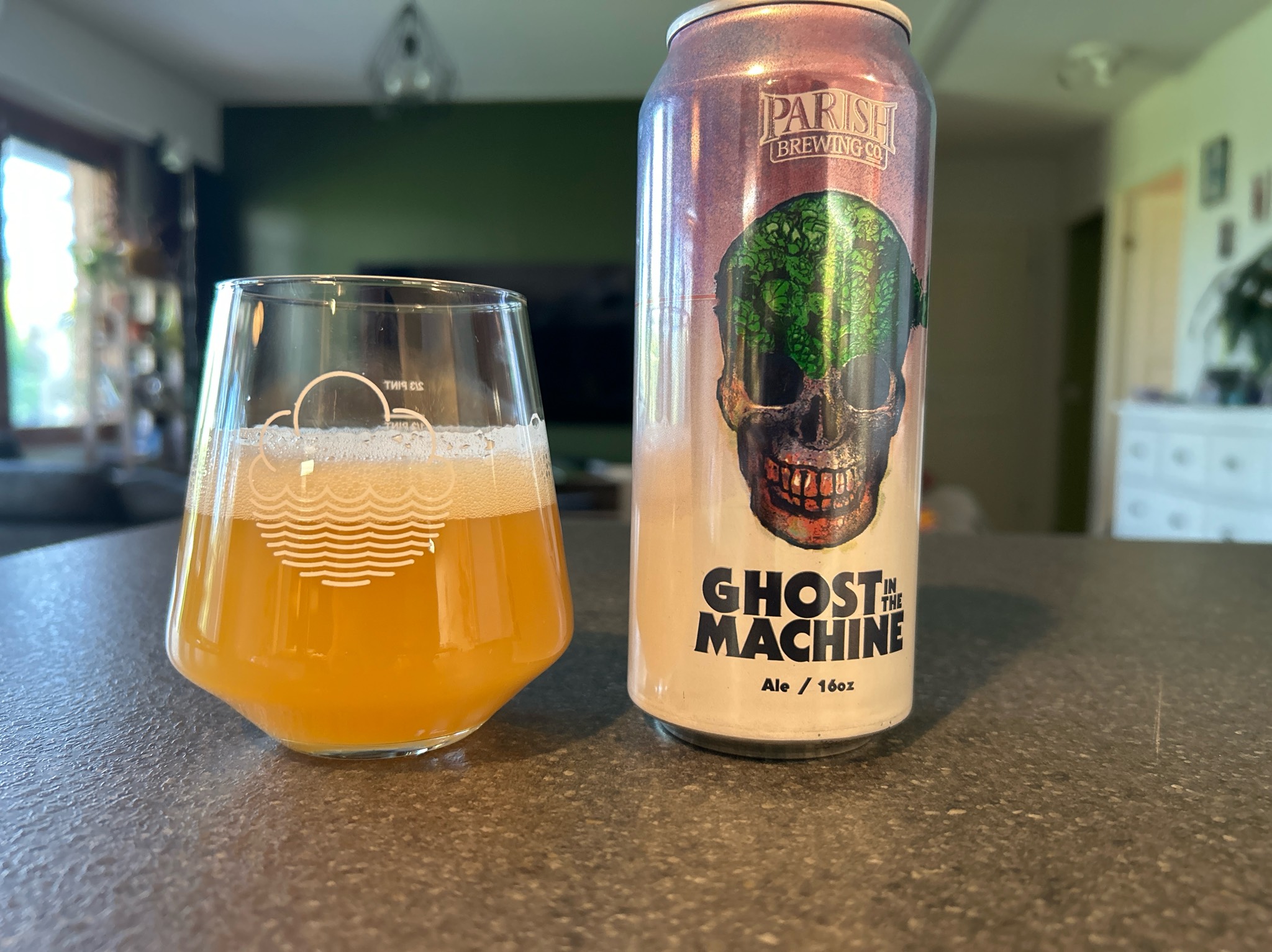 Ghost In the Machine, United States
