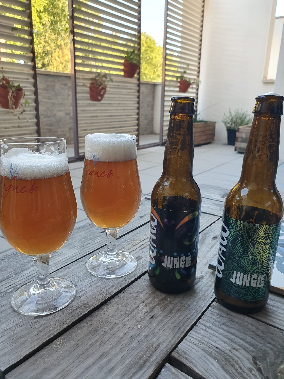 WAW Jungle, Brasserie des Fagnes