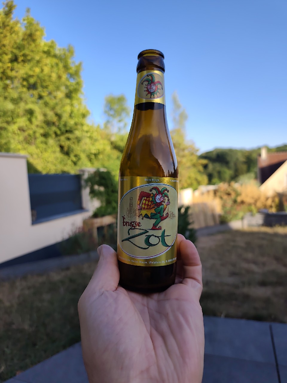 Brugse Zot, Belgium