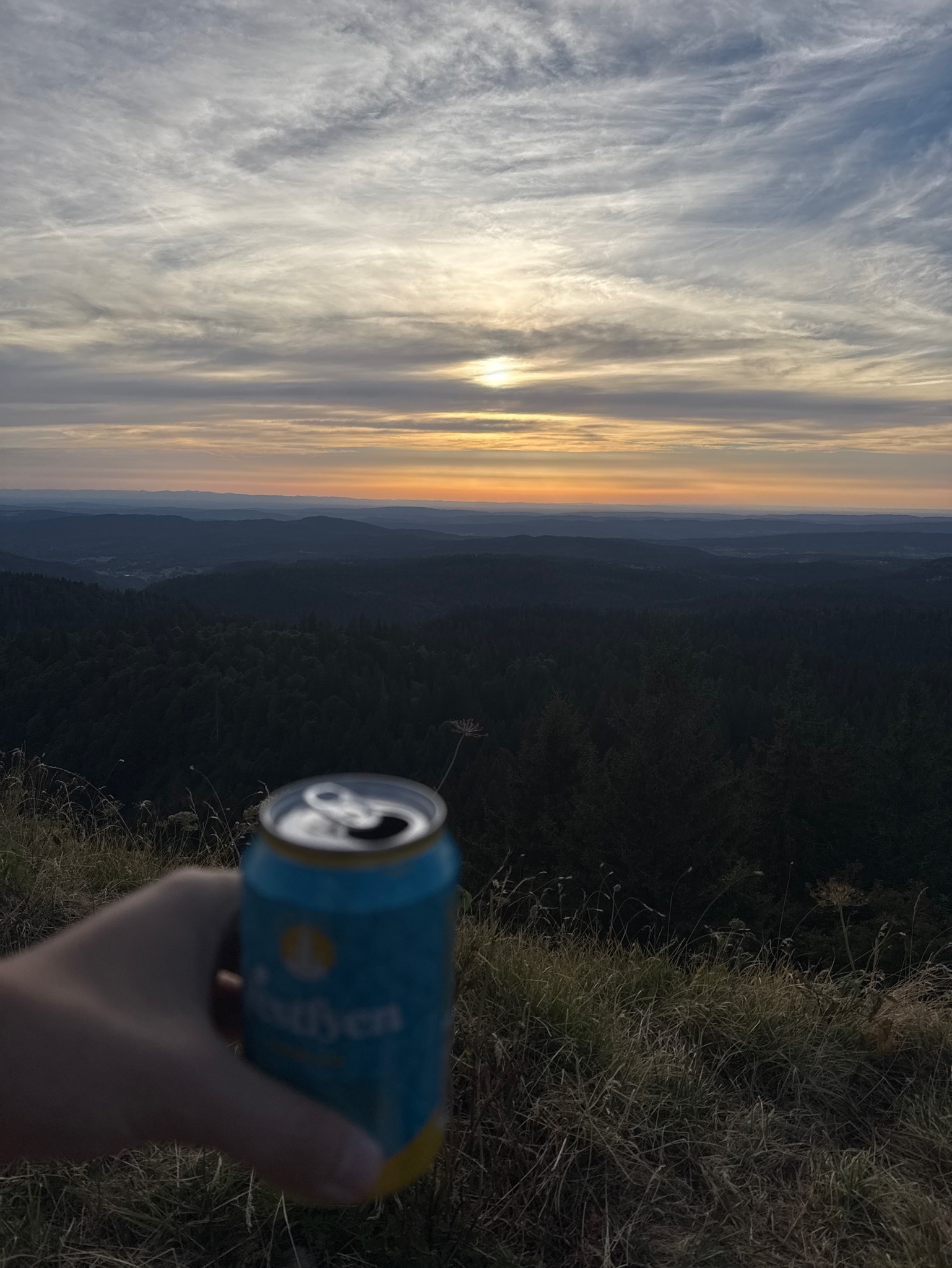 Vestfyen Blond Ale, Bryggeriet Vestfyen