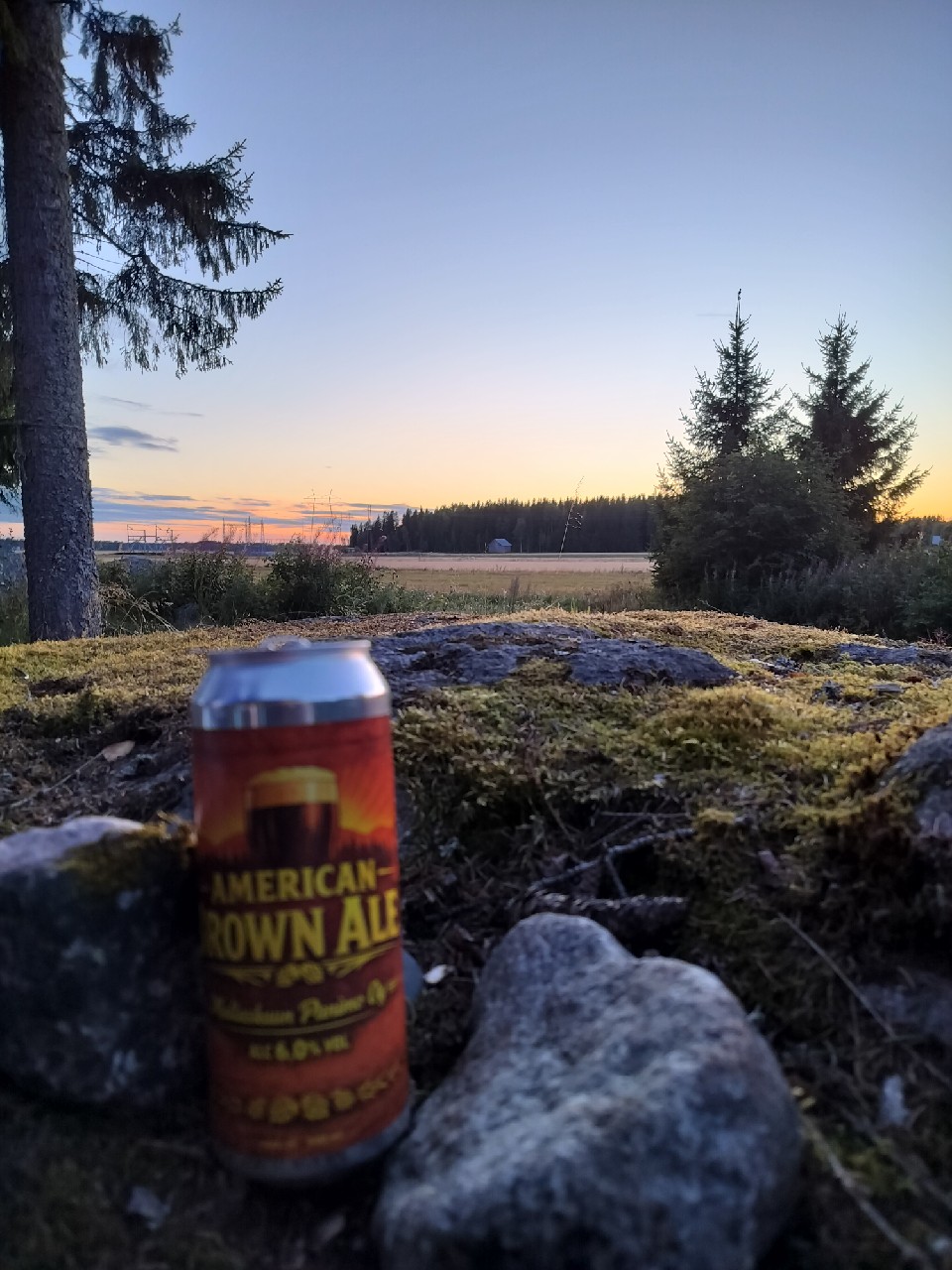 American Brown Ale, Mallaskuun Panimo