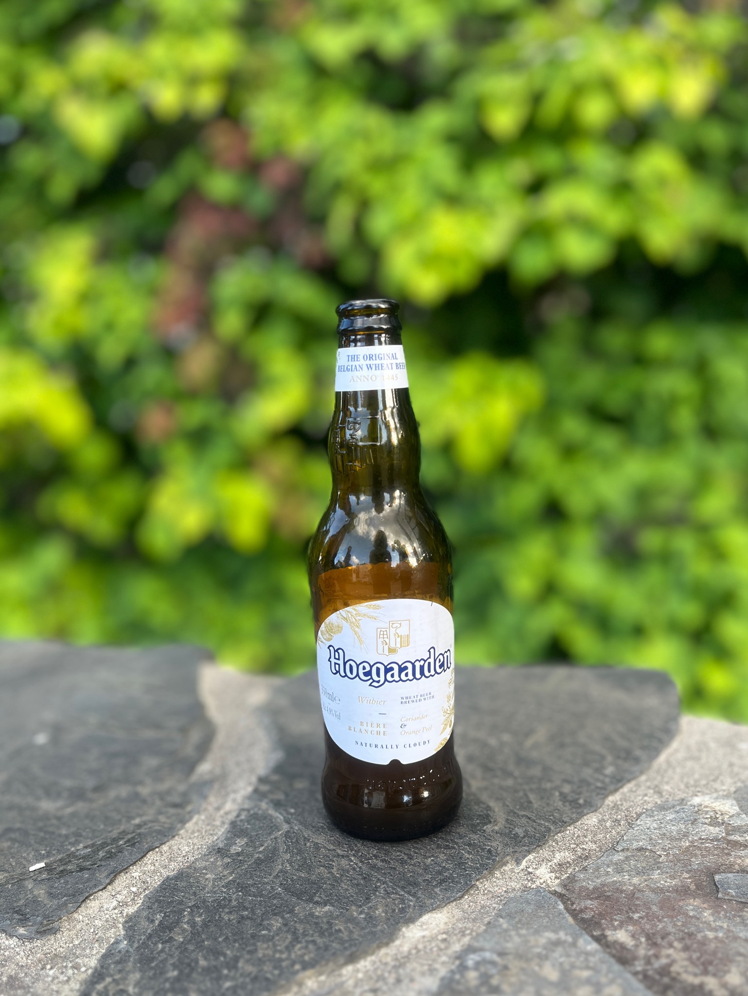 Hoegaarden witbier, Belgium