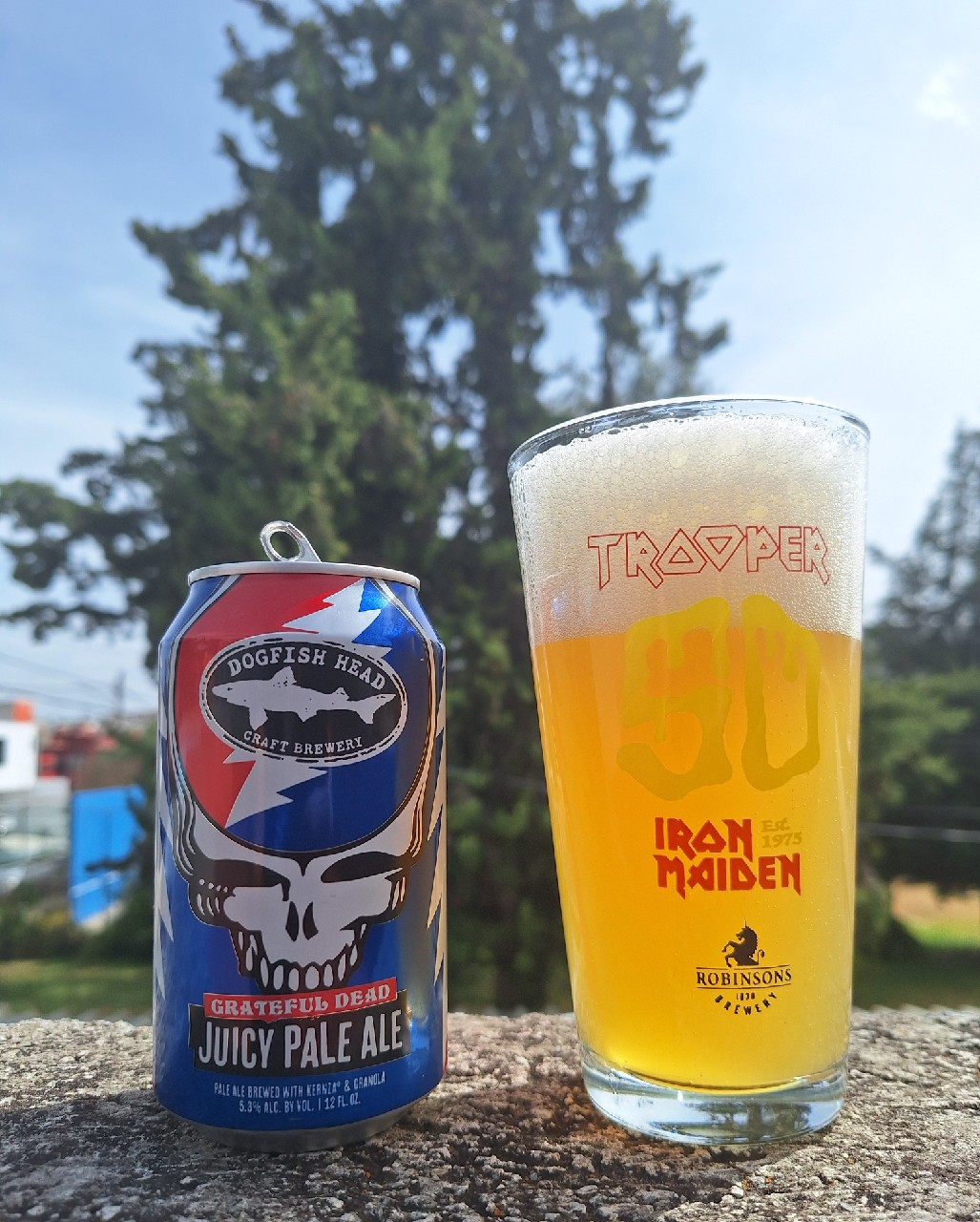 Grateful Dead Juicy Pale Ale, Dogfish Head Craft Brewery