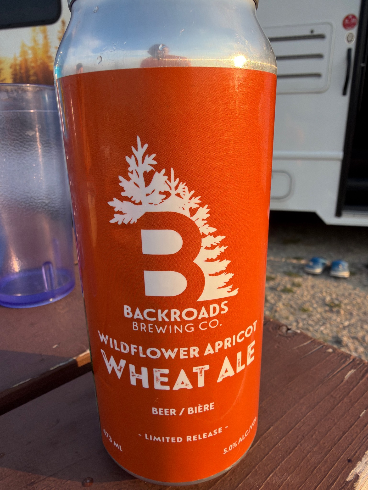 Wildflower Apricot, Backroads Brewing Co.