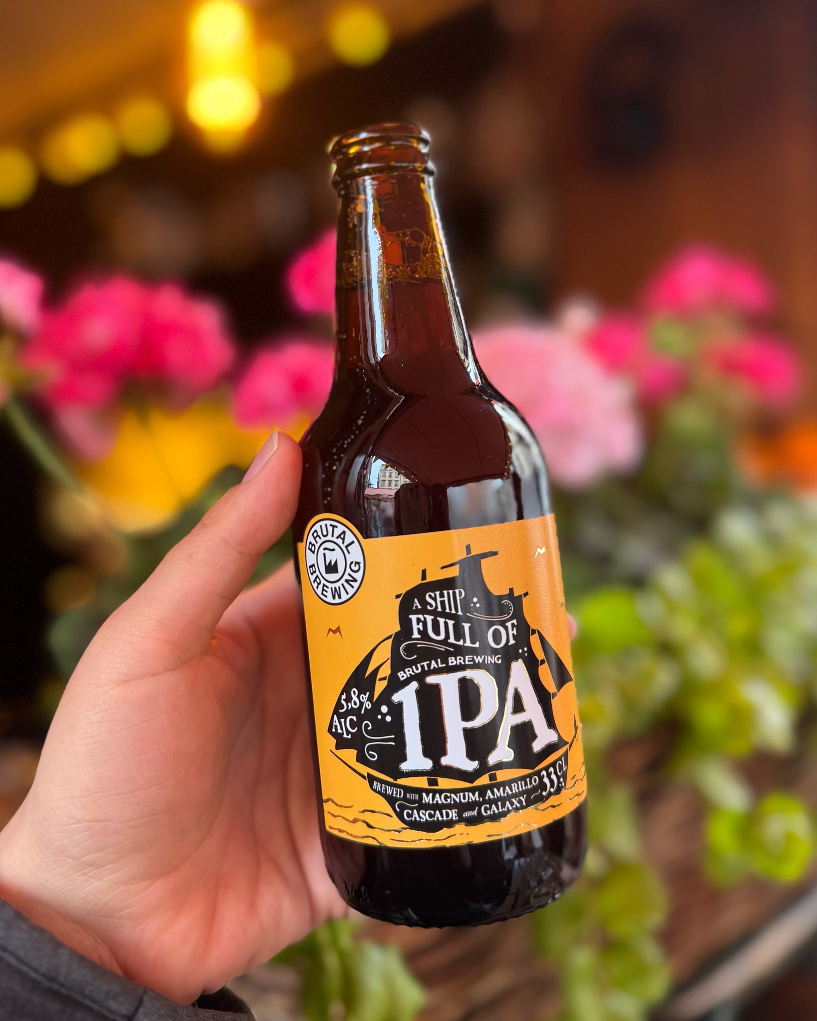 A Ship Full of IPA 5.8%, Sweden