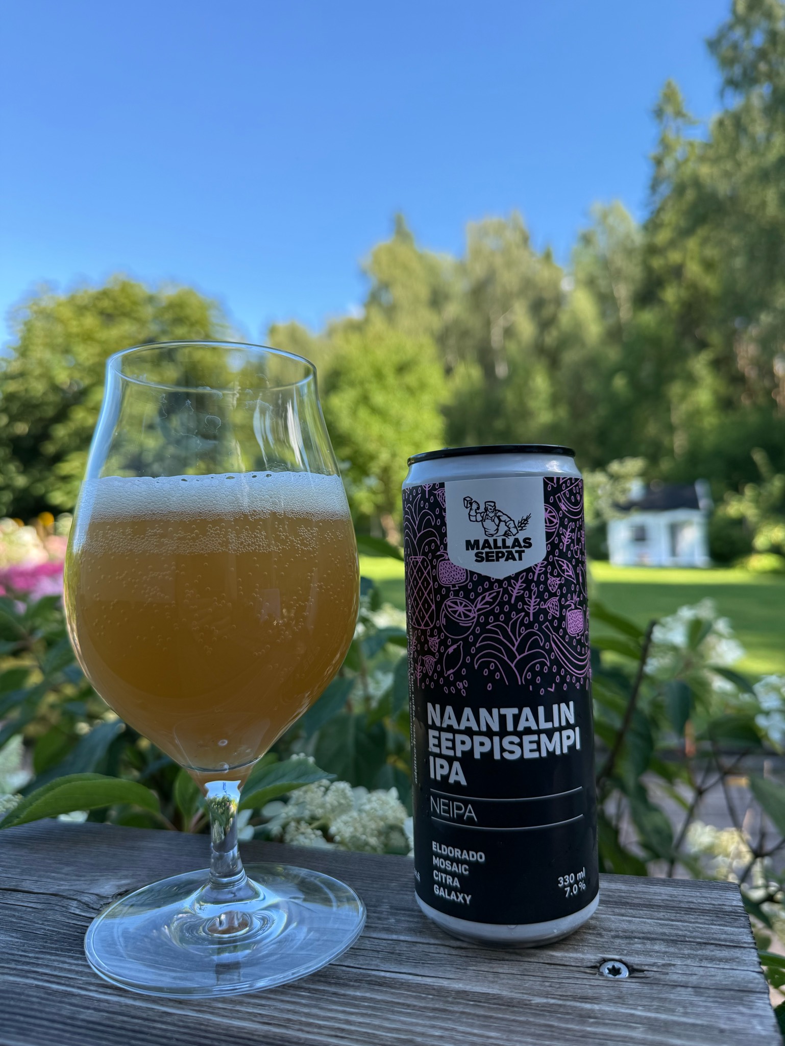 Naantalin Eeppisempi IPA, Finland