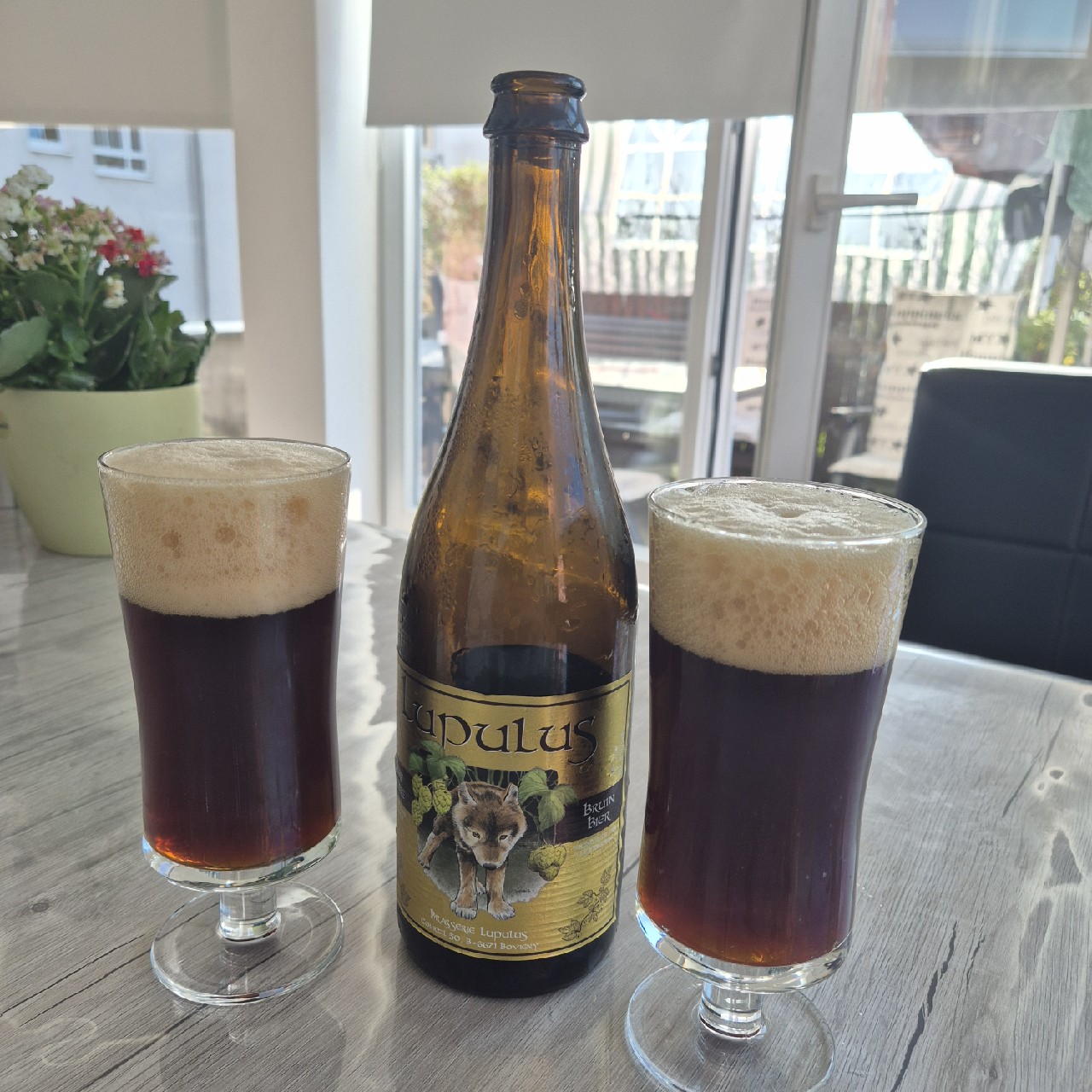 Lupulus Brune, Belgium